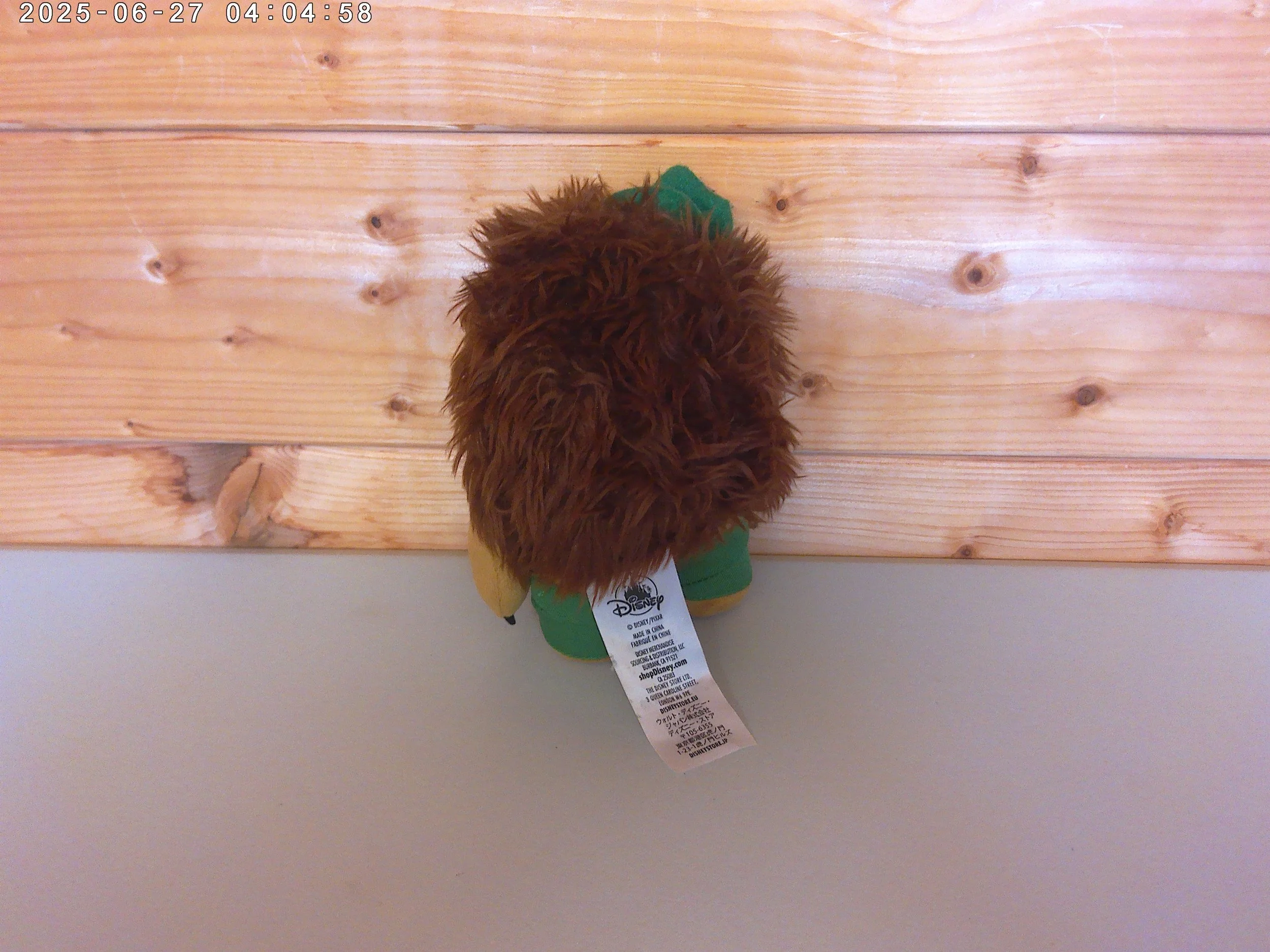 Mr Pricklepants - photo 2.jpg