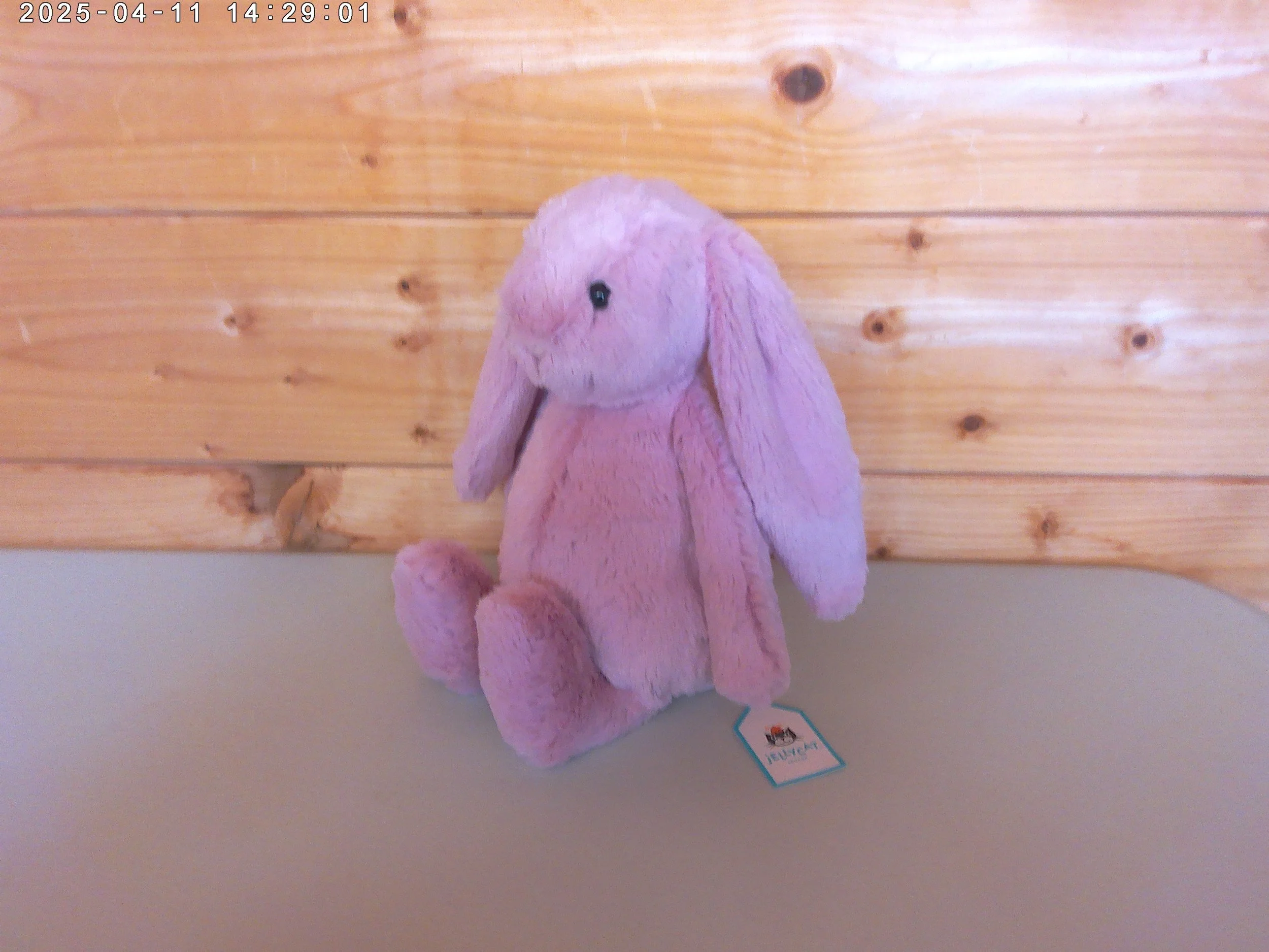 Tulip bunny - photo 3.jpg