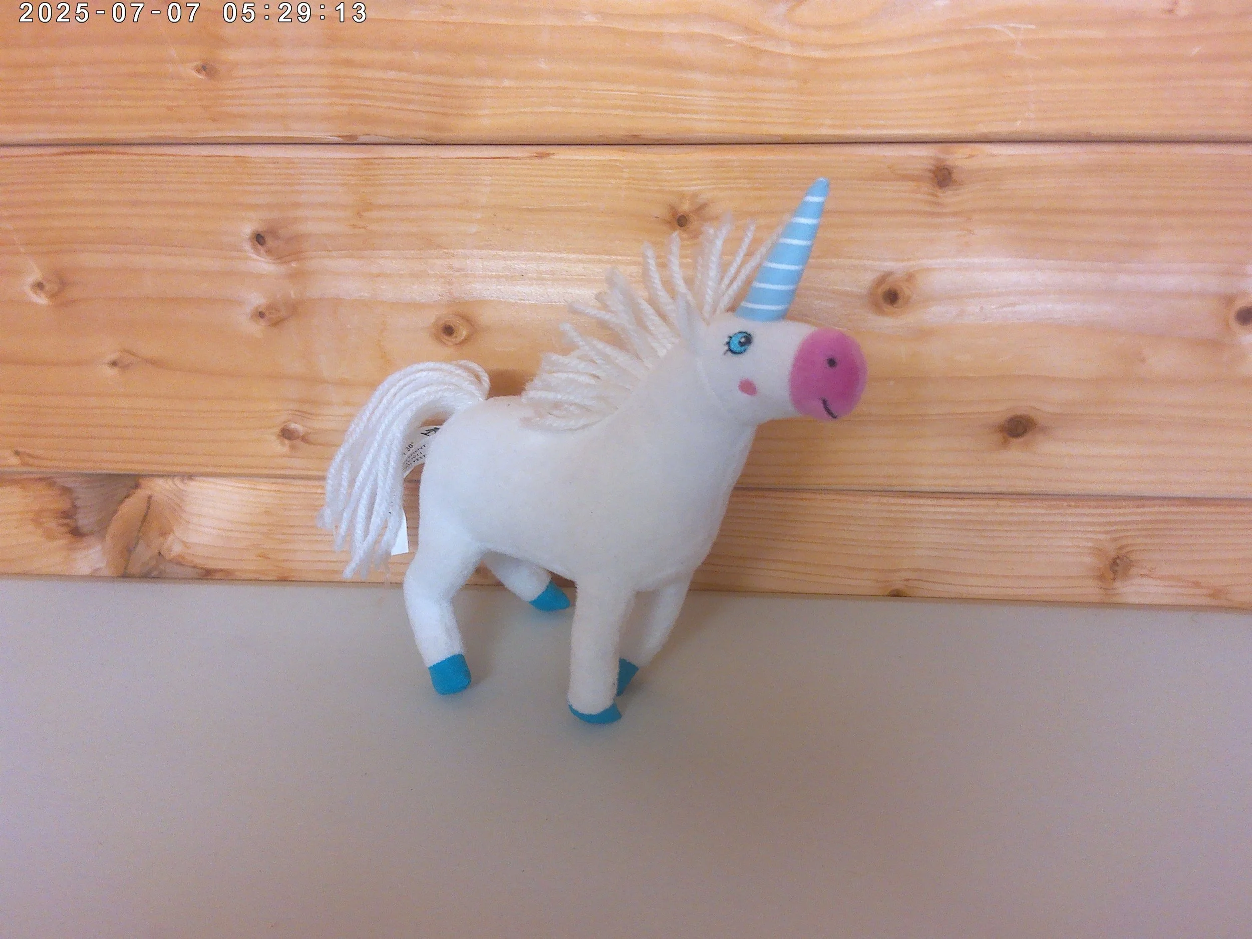 Sugerlump - photo 3.jpg