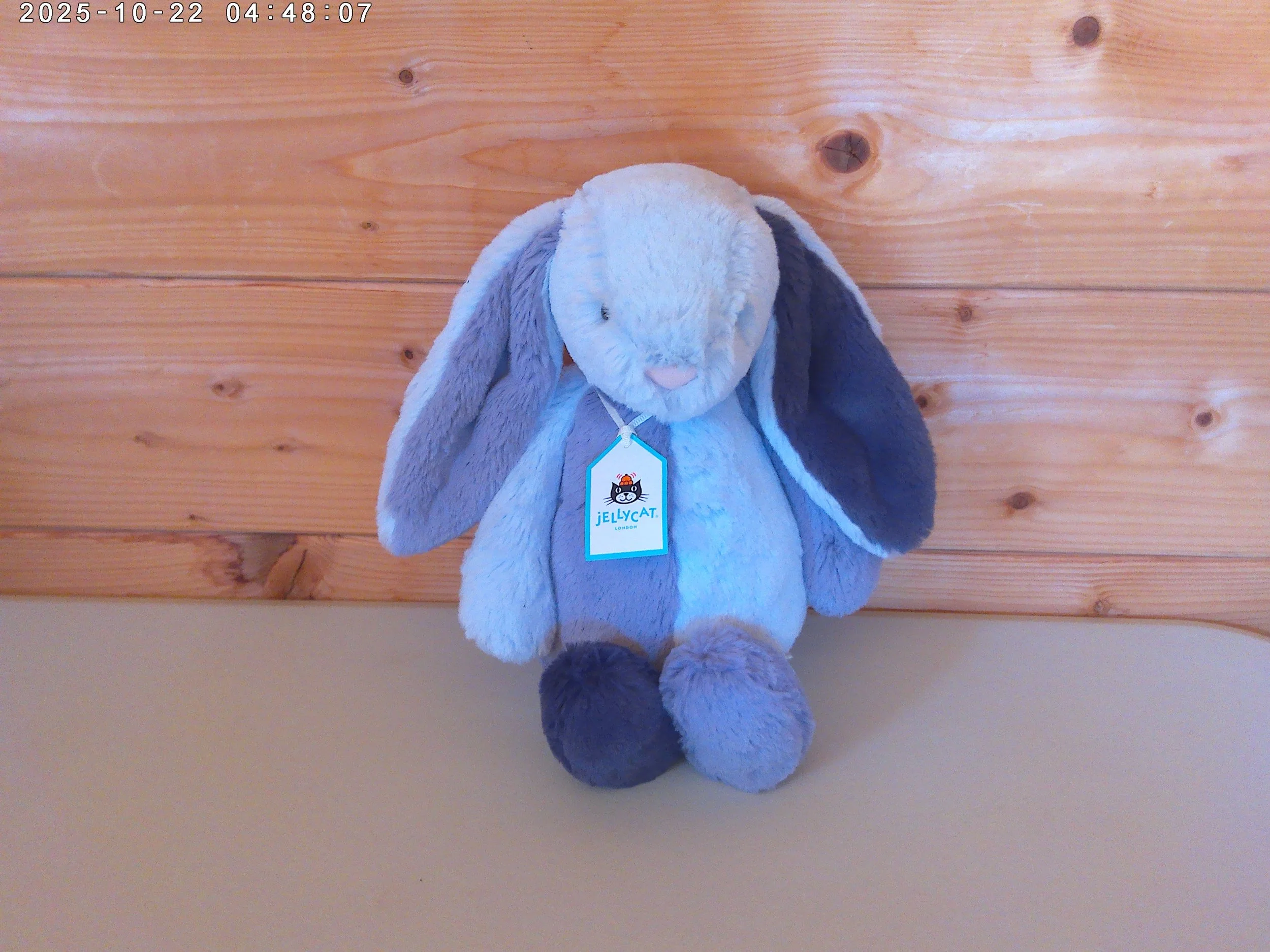 Puddlesea bunny - photo 4.jpg