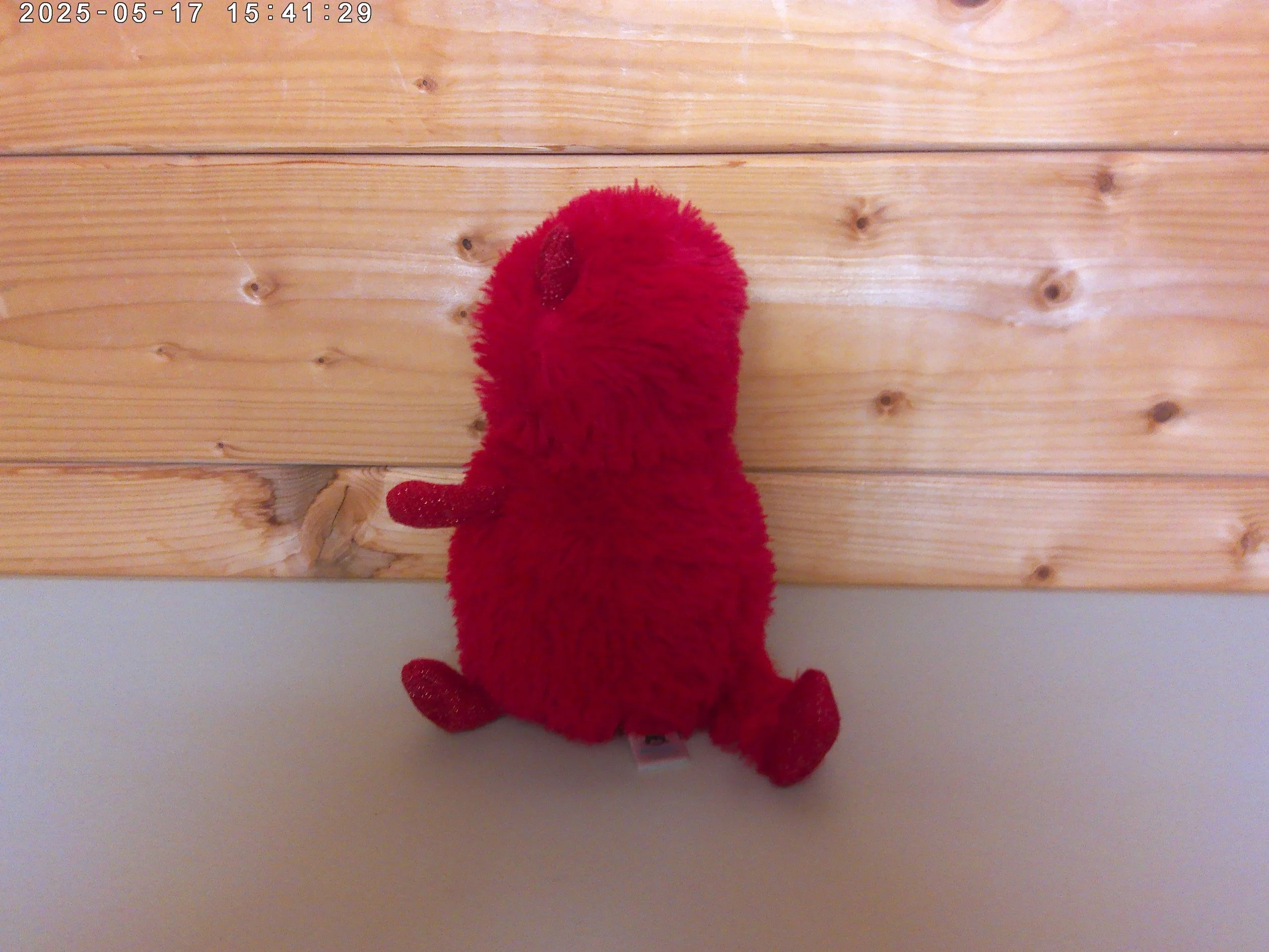 Hugg Mcsnugg - photo 2.jpg