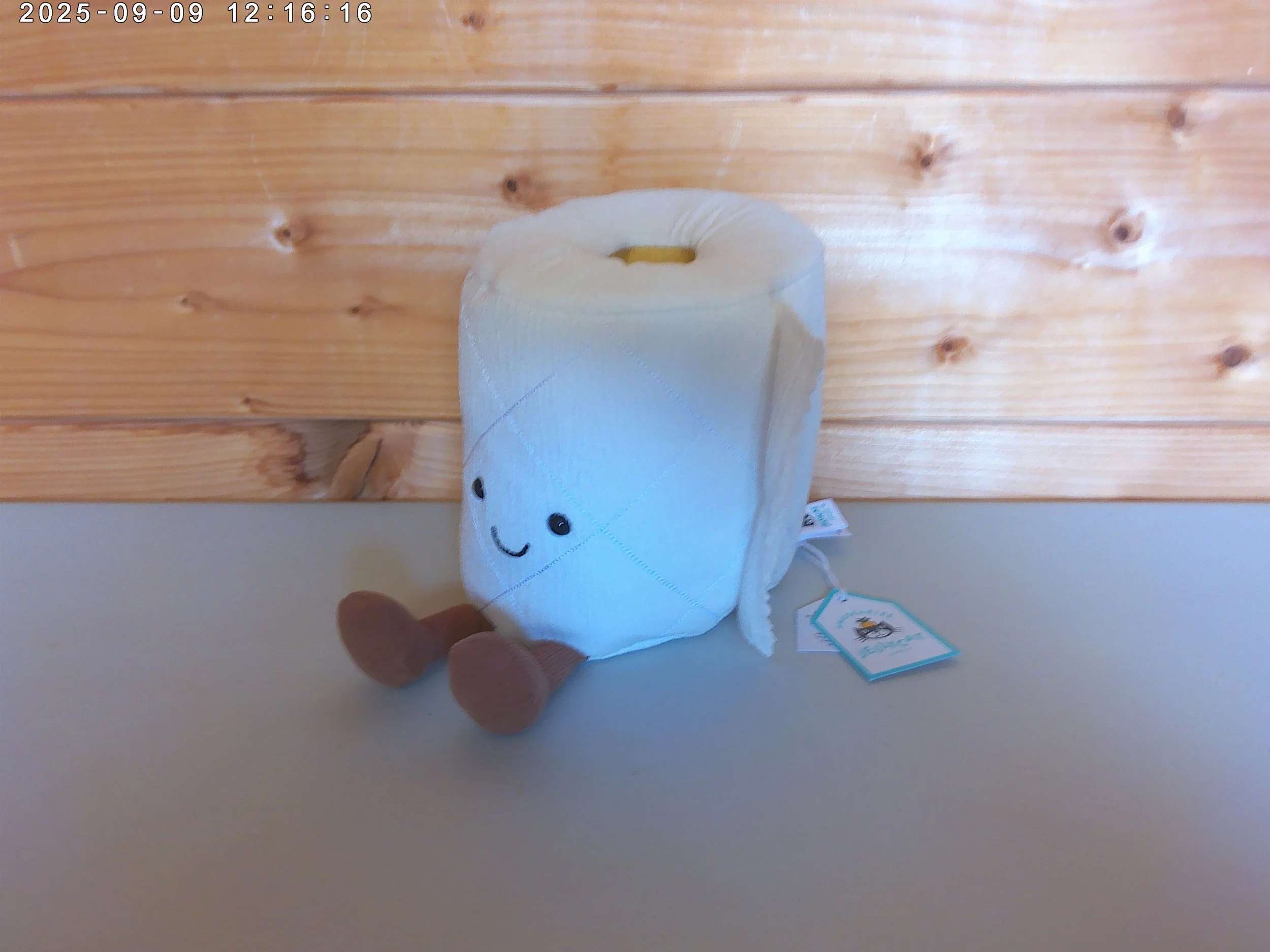 Toilet roll - photo 1.jpg