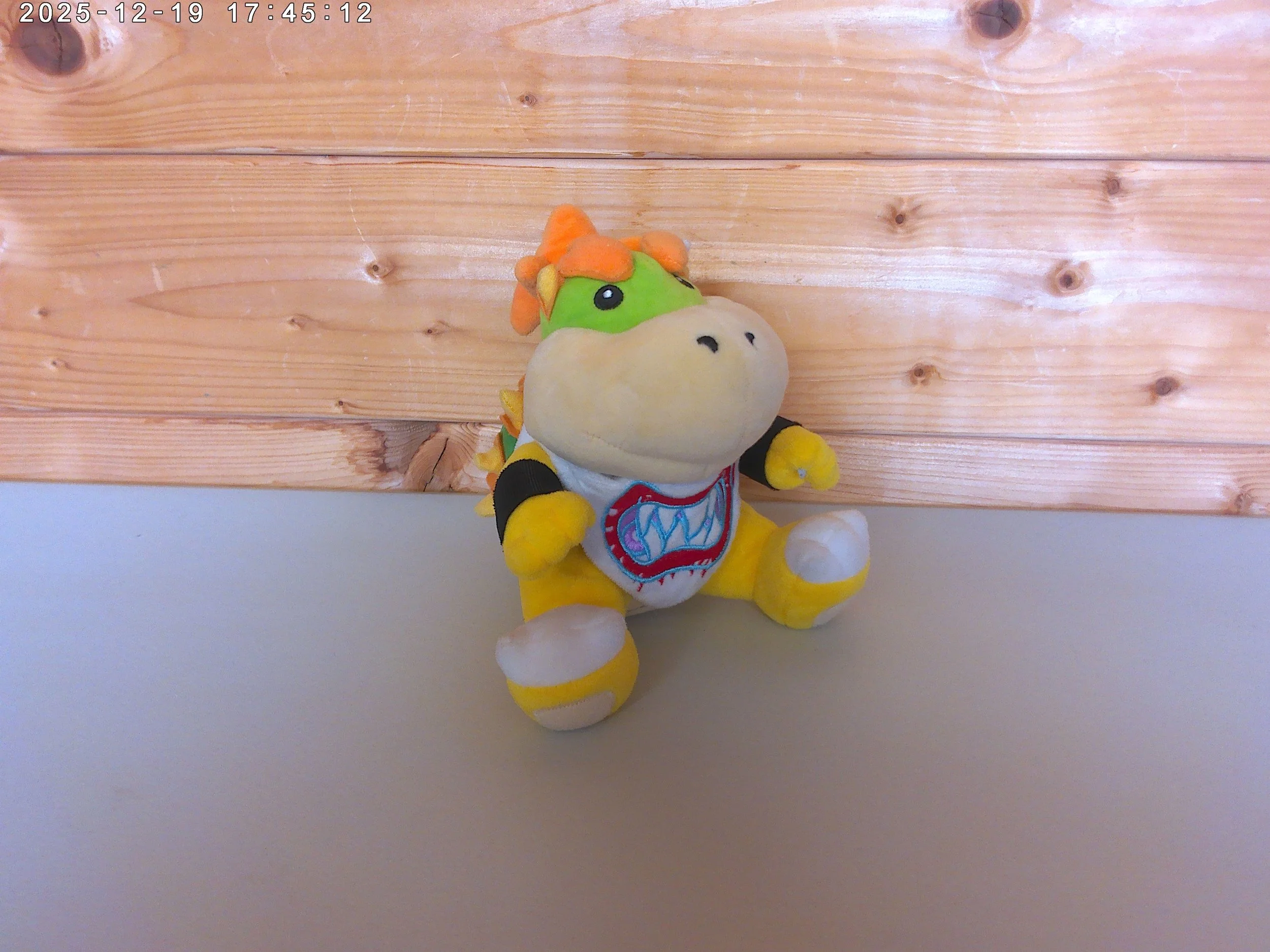 bowser junior photo 4.jpg