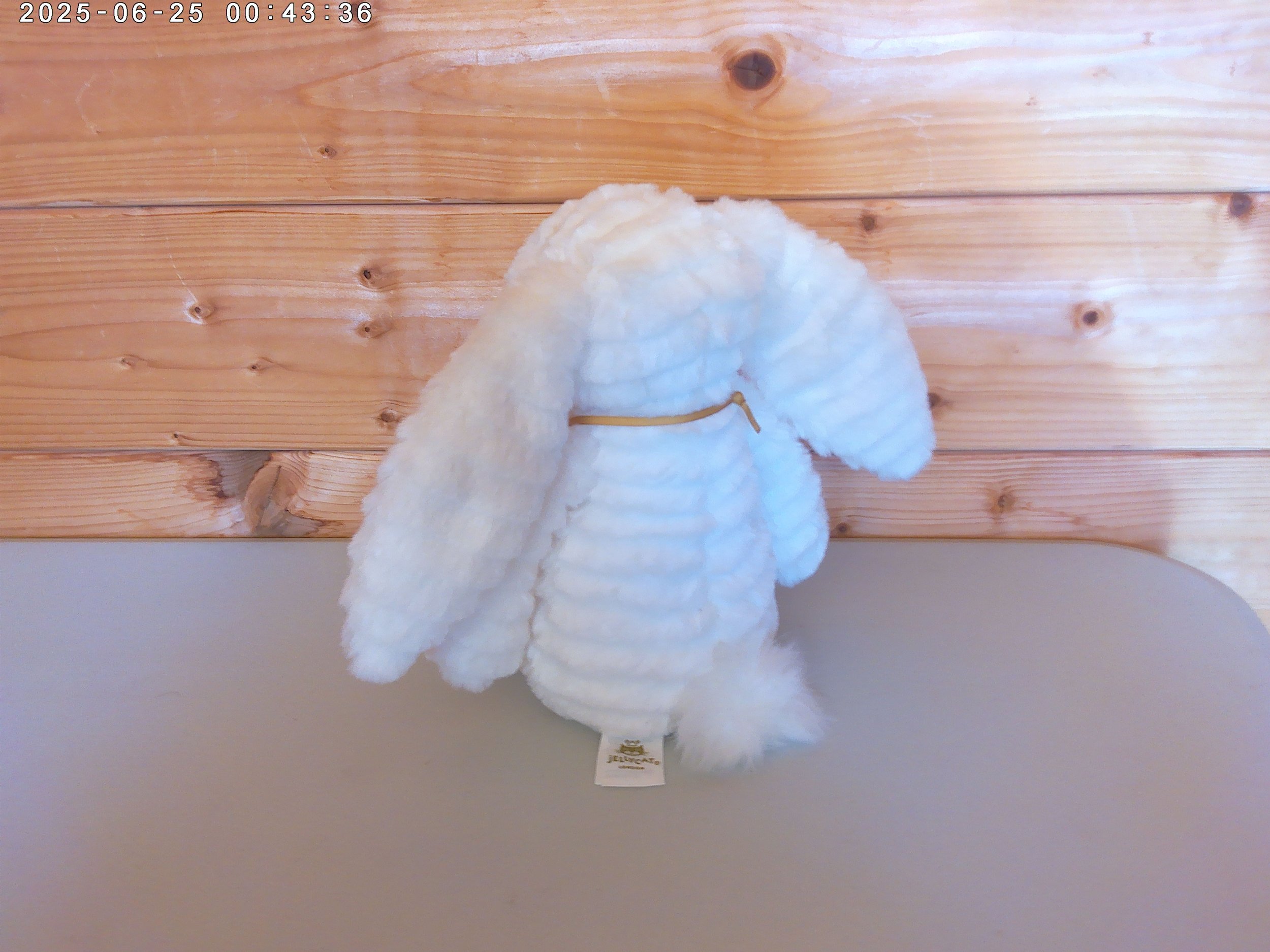 Nimbus - photo 2.jpg