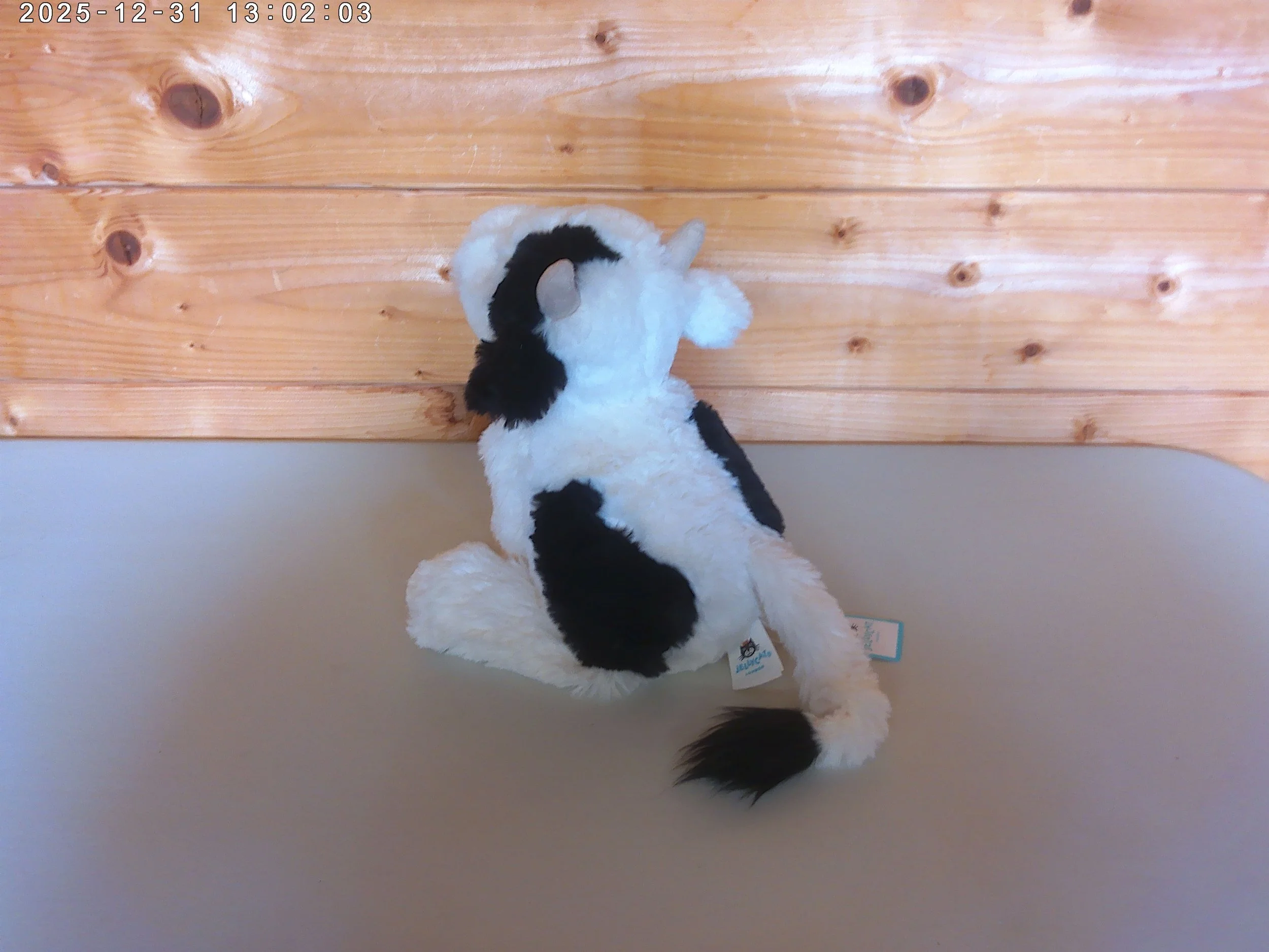 Smudge cow - photo 2.jpg