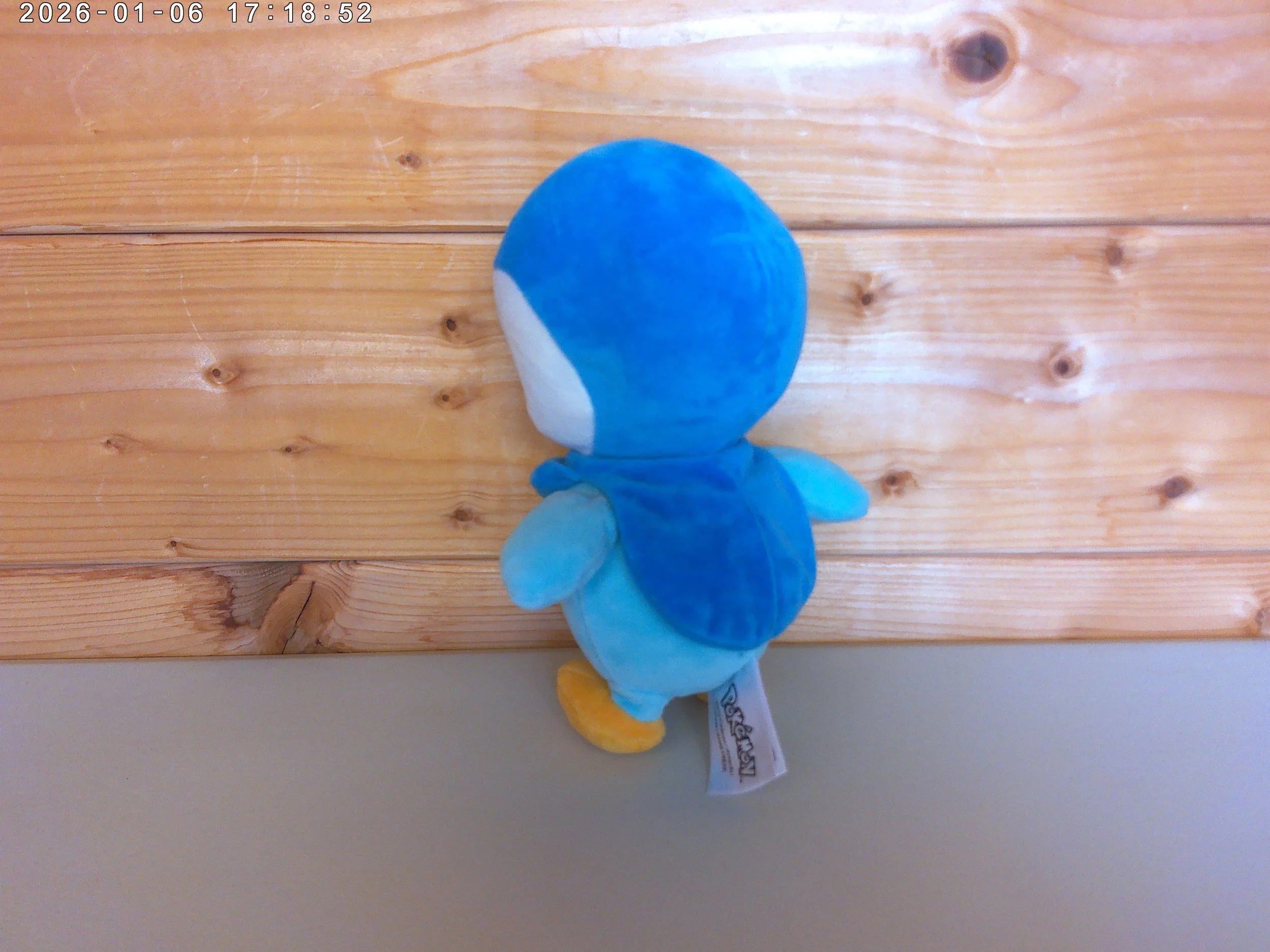Piplup - photo 2.jpg