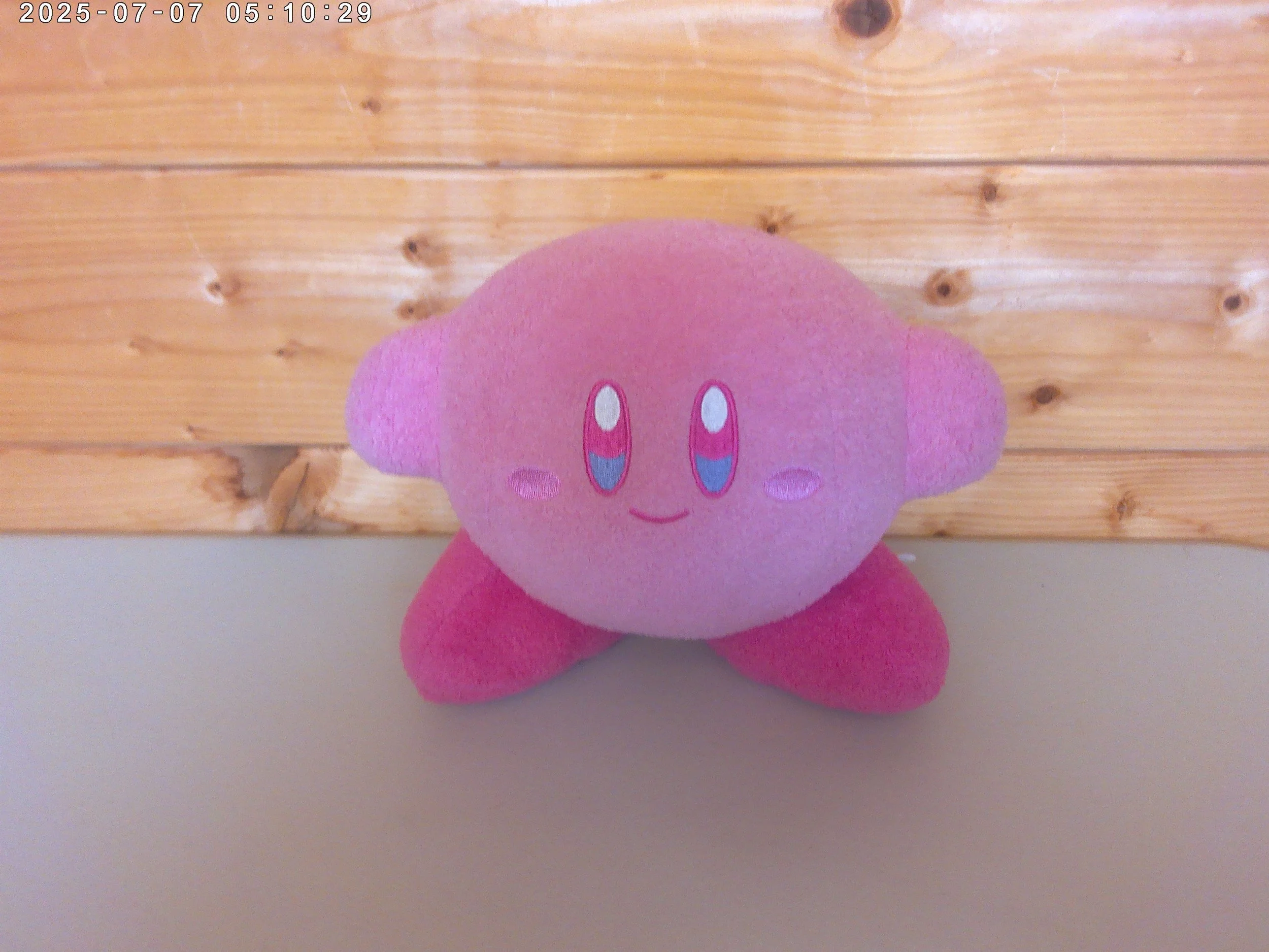 Kirby - photo 1.jpg