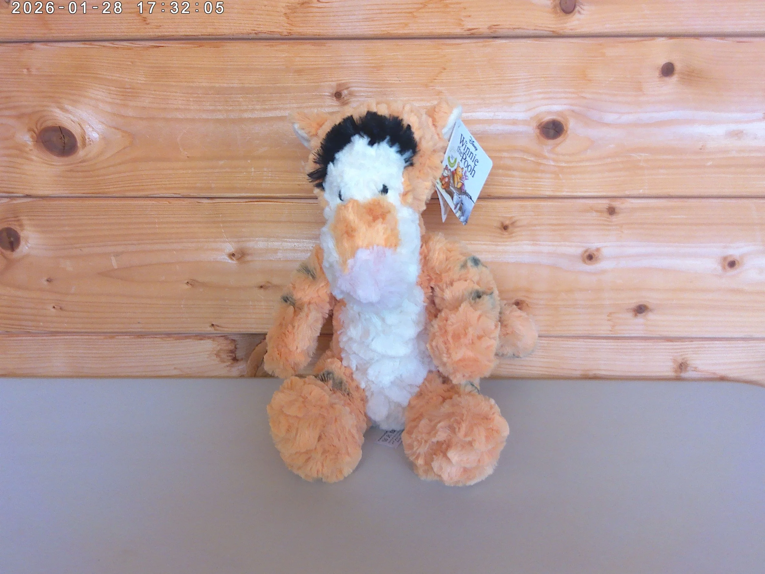 Tigger - photo 1.jpg
