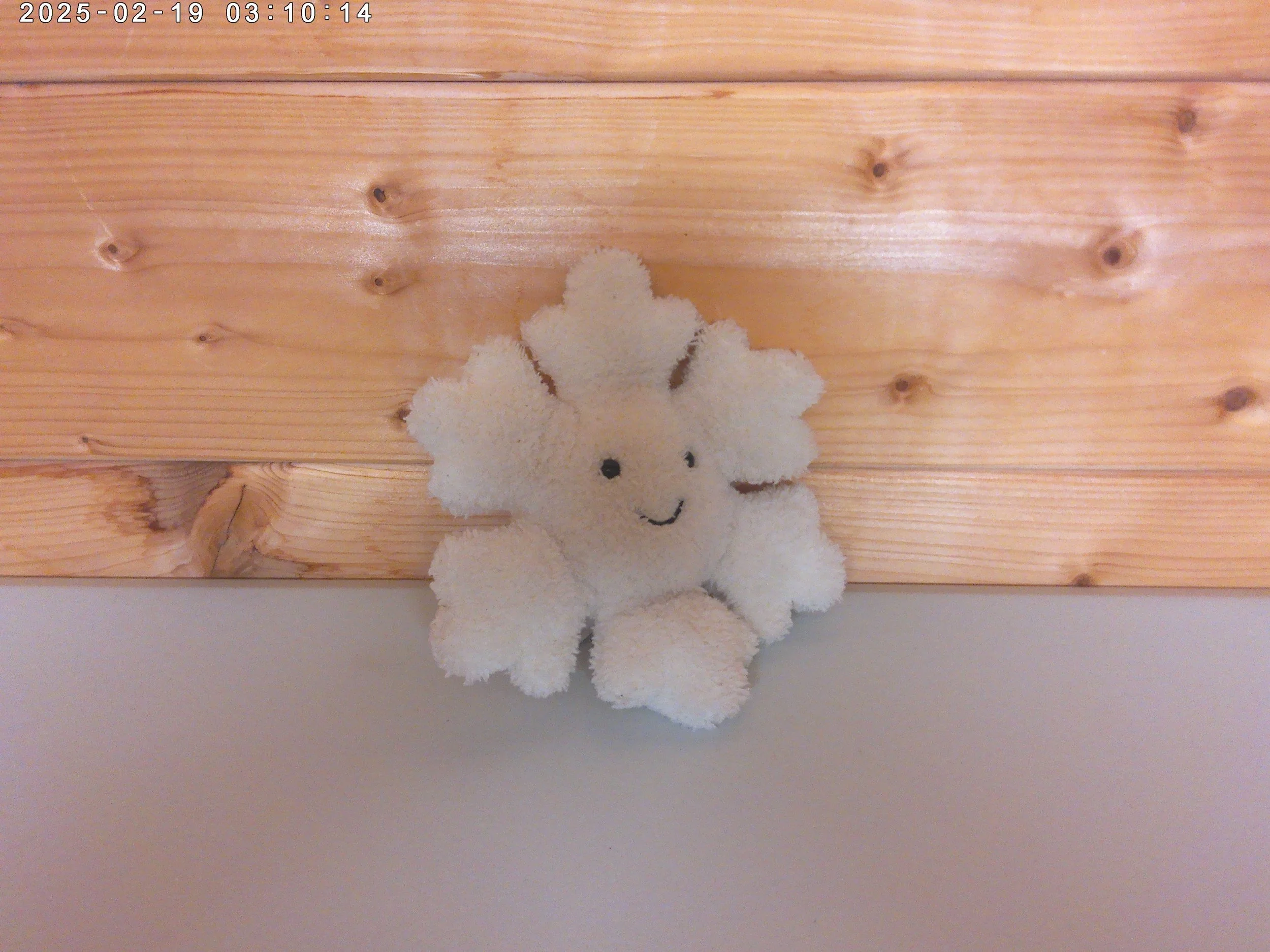 snowflake - photo 3.jpg