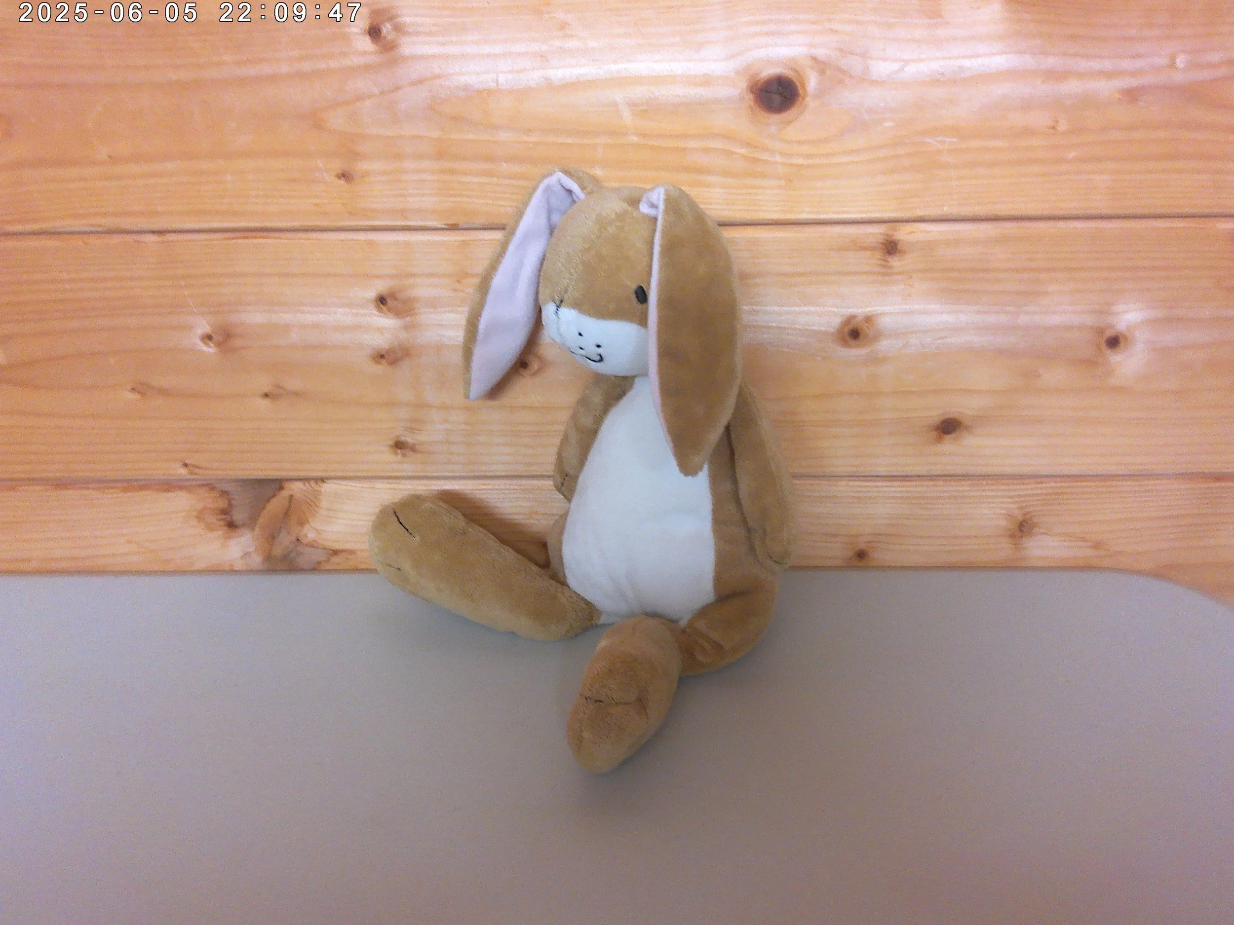 I love u bunny - photo 3.jpg