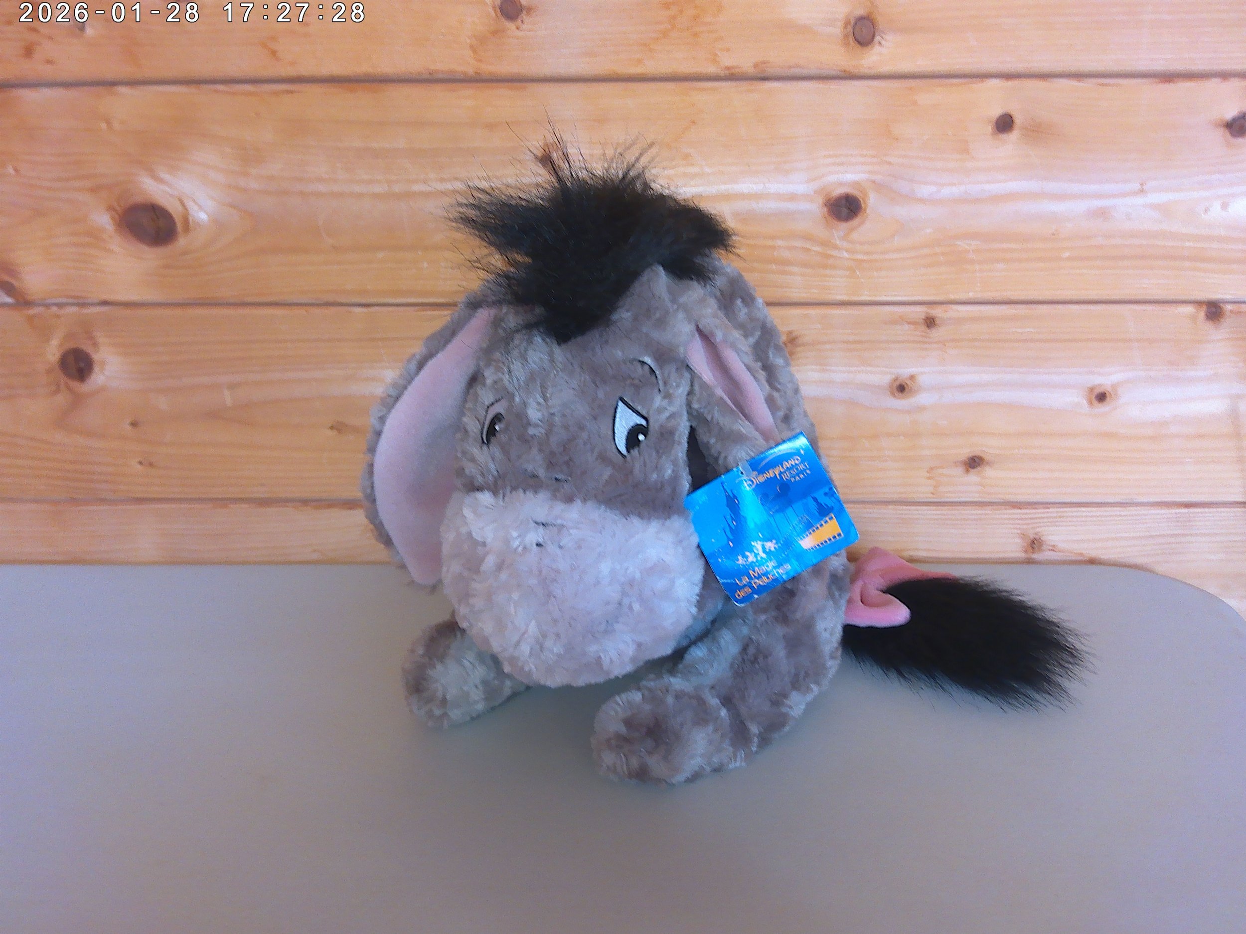 Eeyore - photo 1 (1).jpg