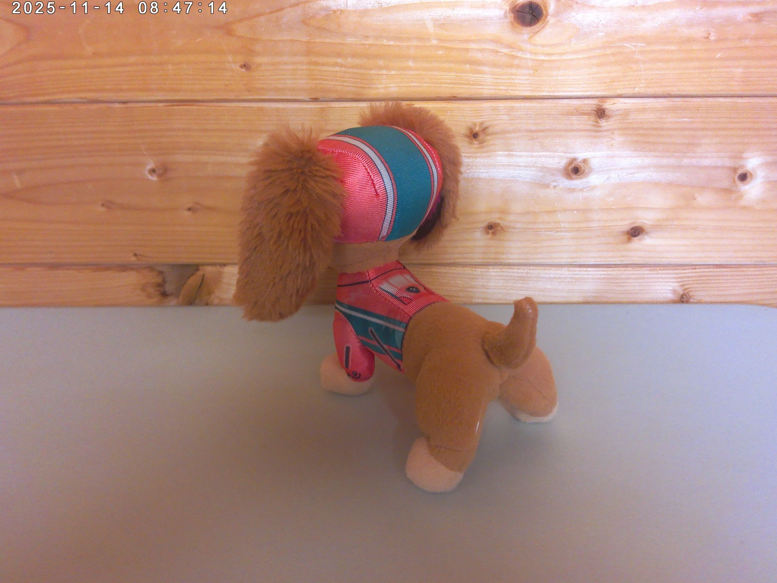 Liberty - photo 3.jpg