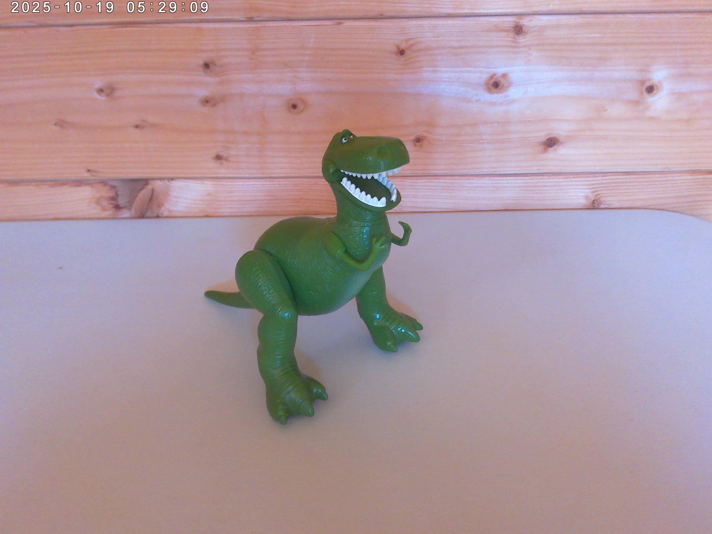 rex - photo 1.jpg