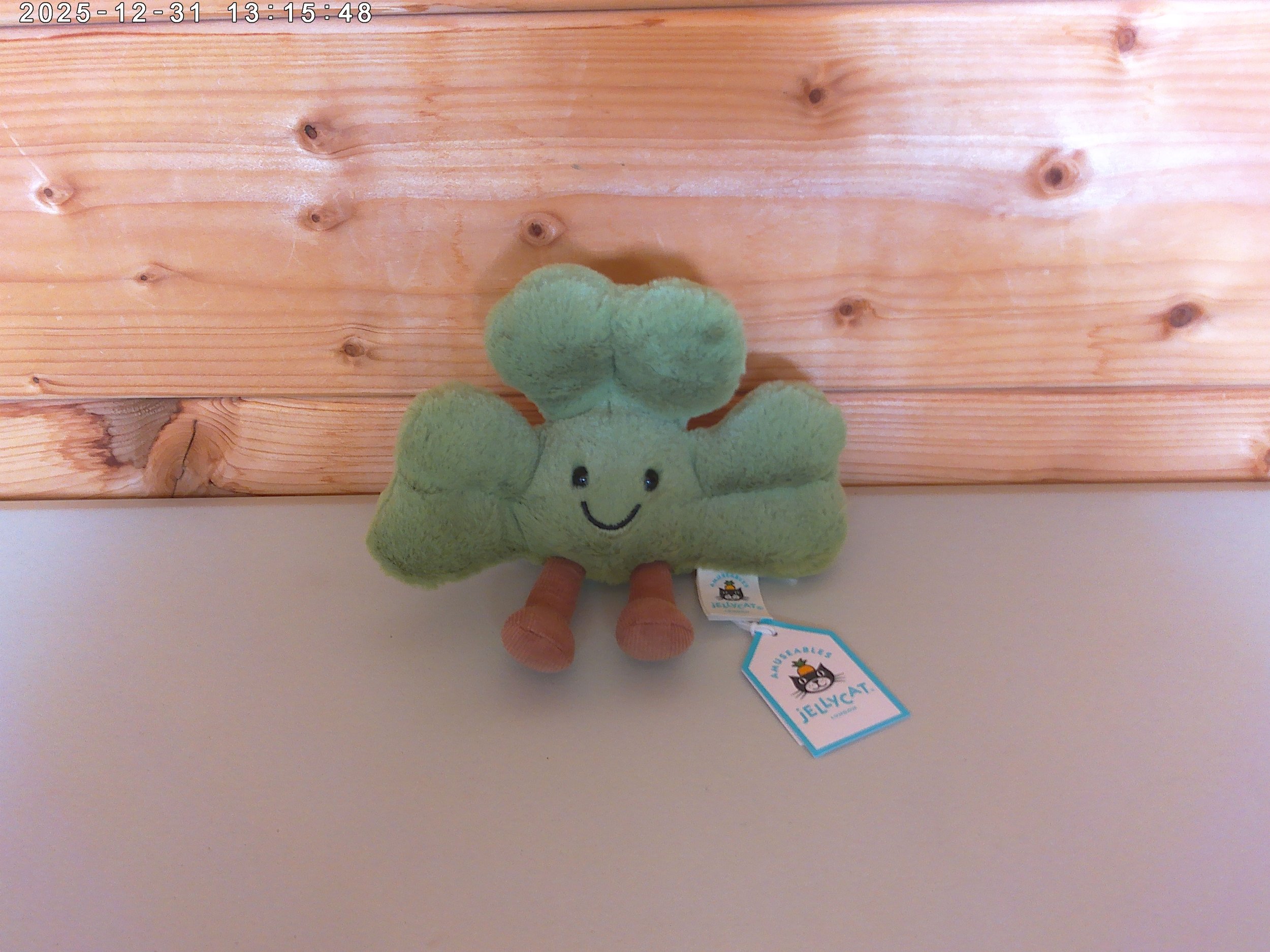 Shamrock - photo 1.jpg