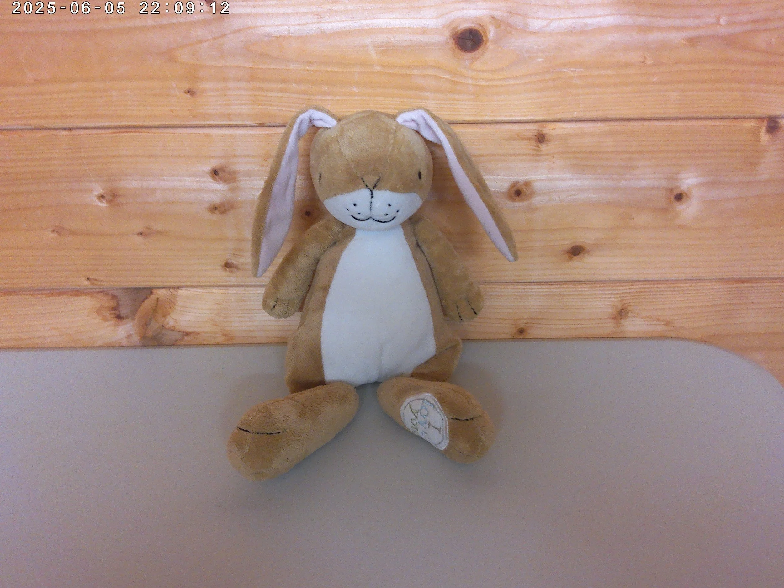 I love u bunny - photo 2.jpg