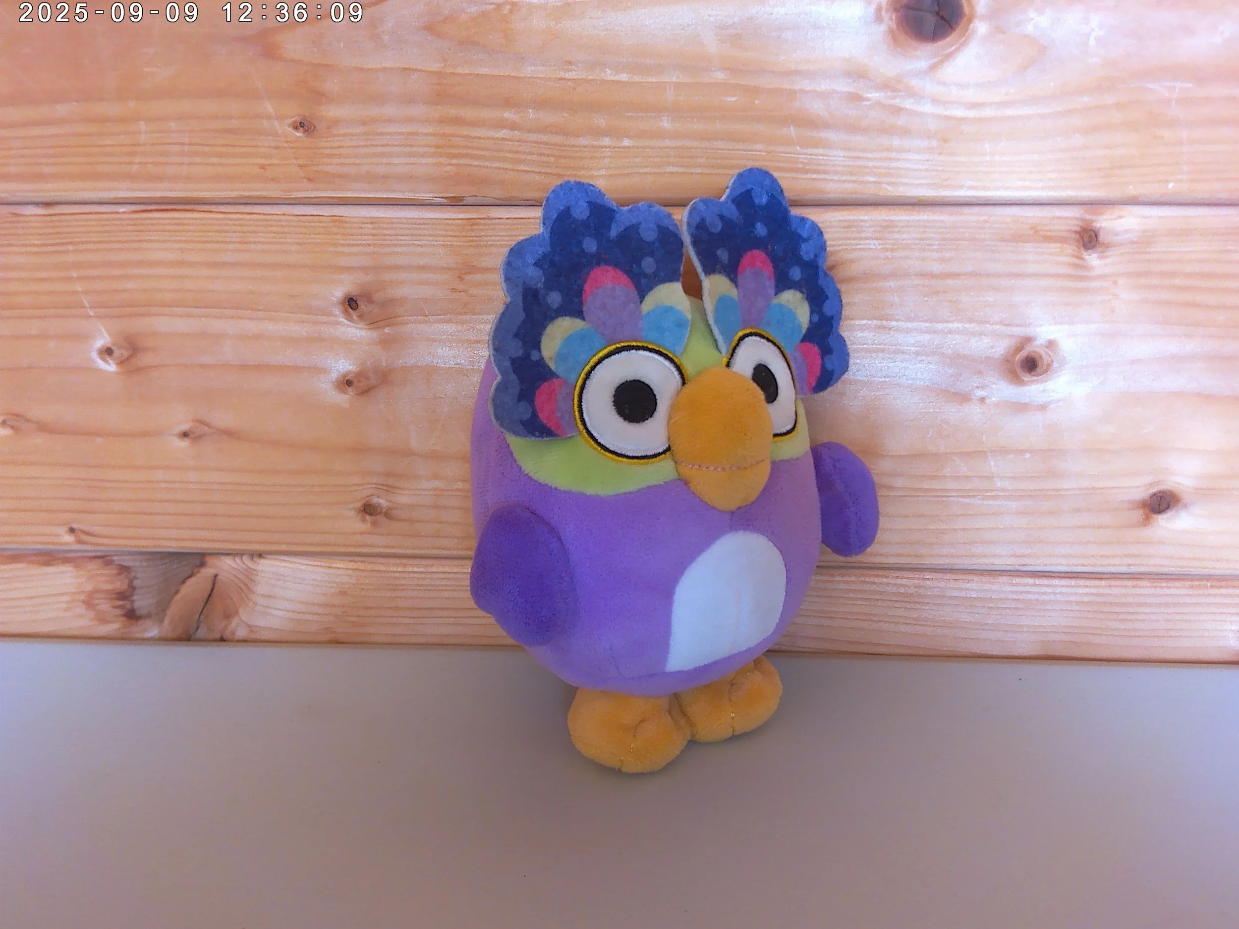 Chattermax Bird - photo 3.jpg