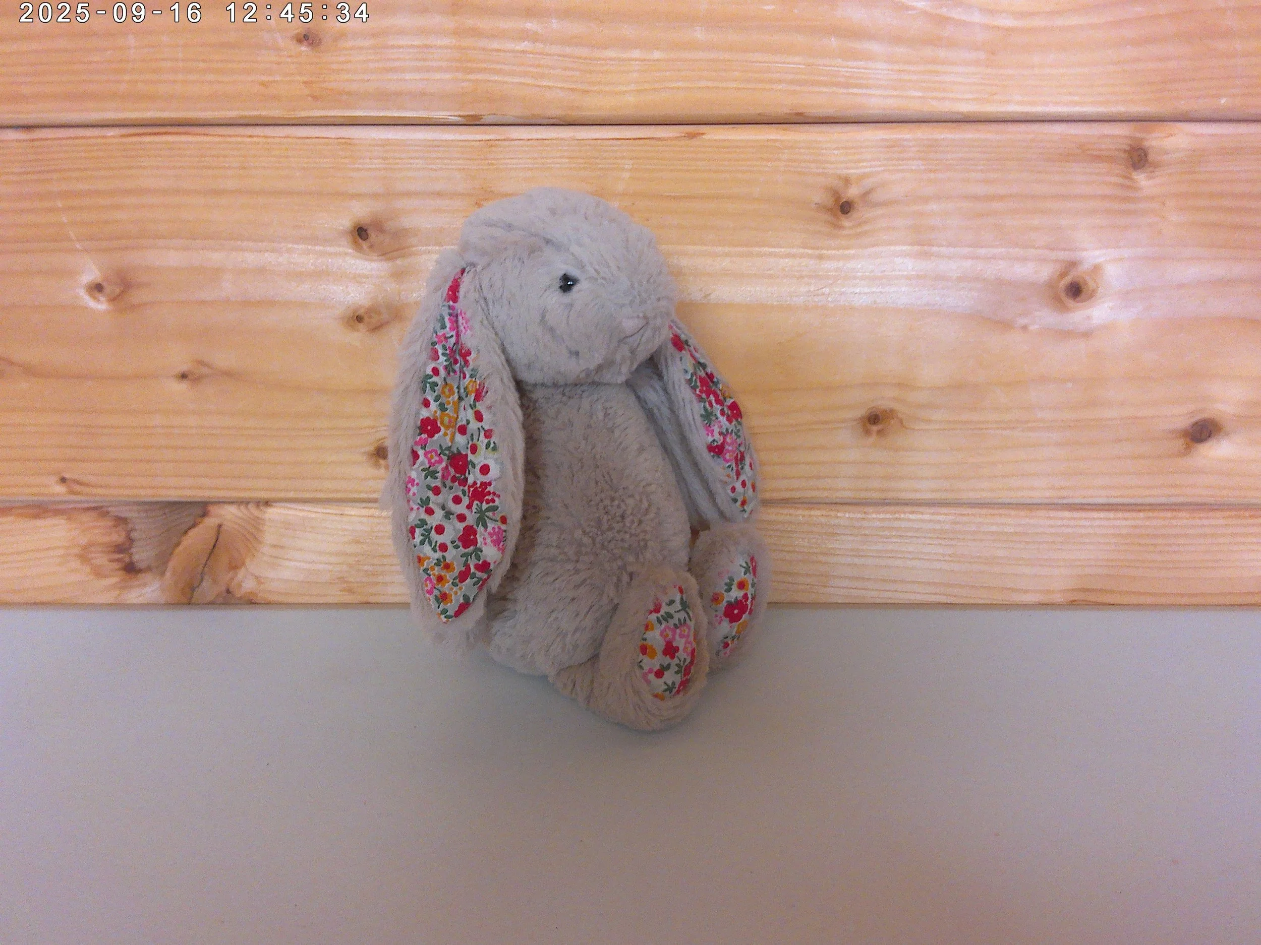 Posy blossom bunny - photo 3.jpg