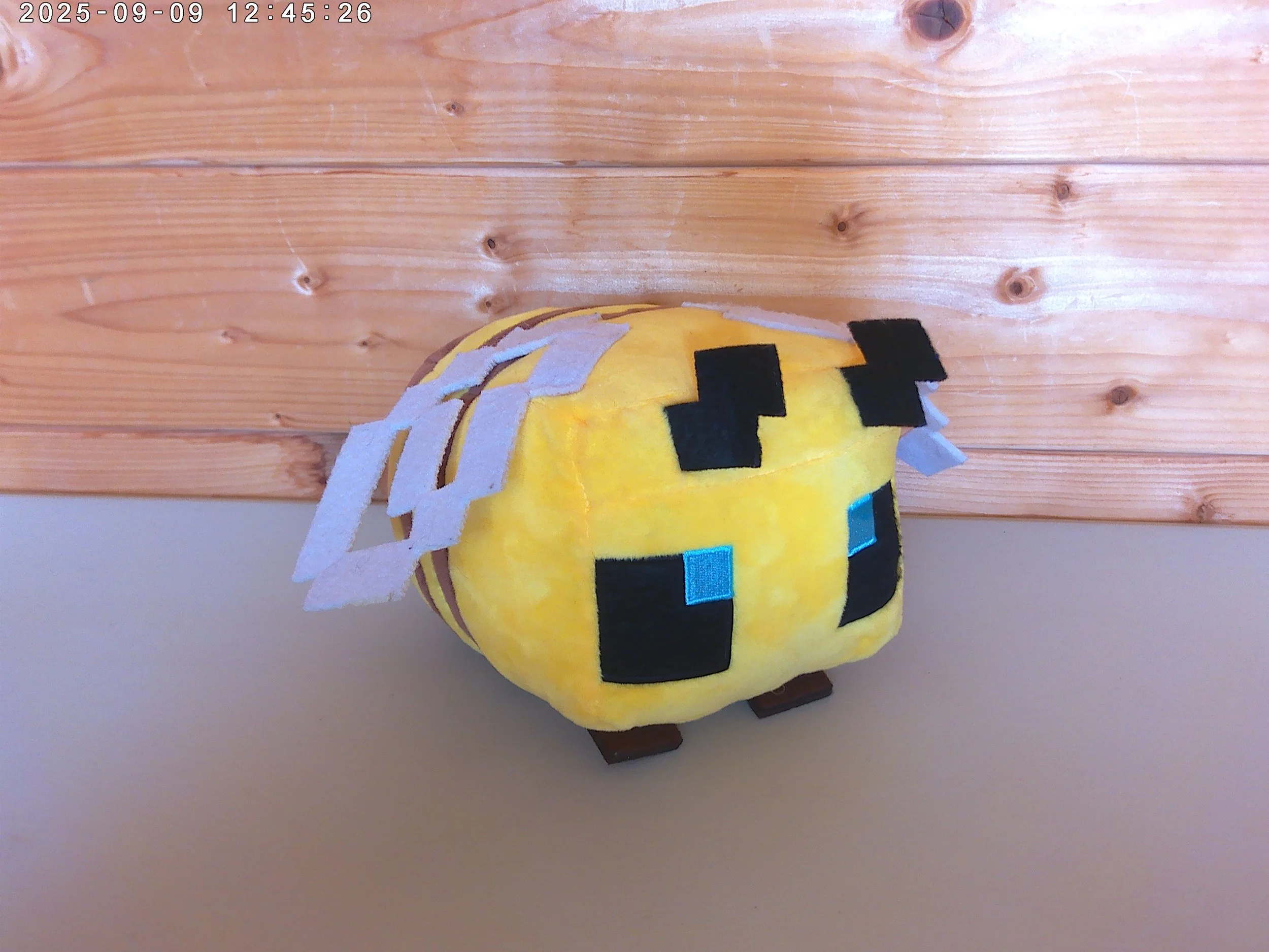 Bee - photo 2.jpg