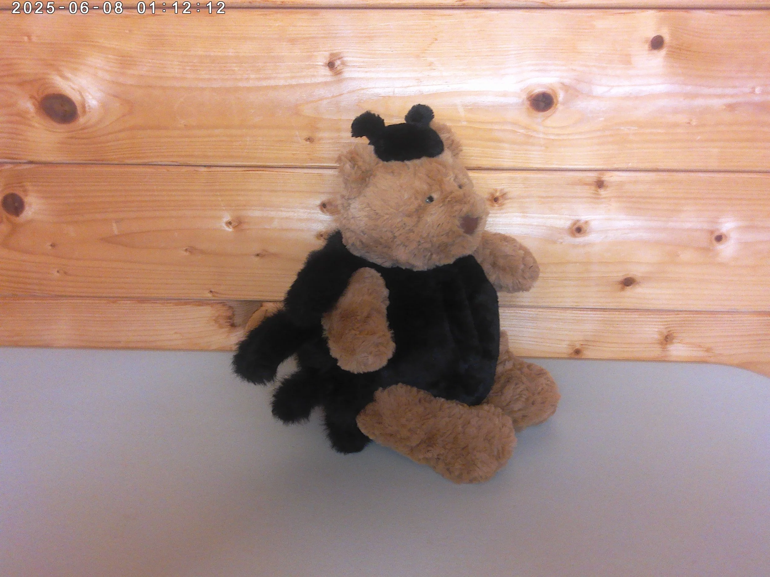 Barth spider - photo 3.jpg