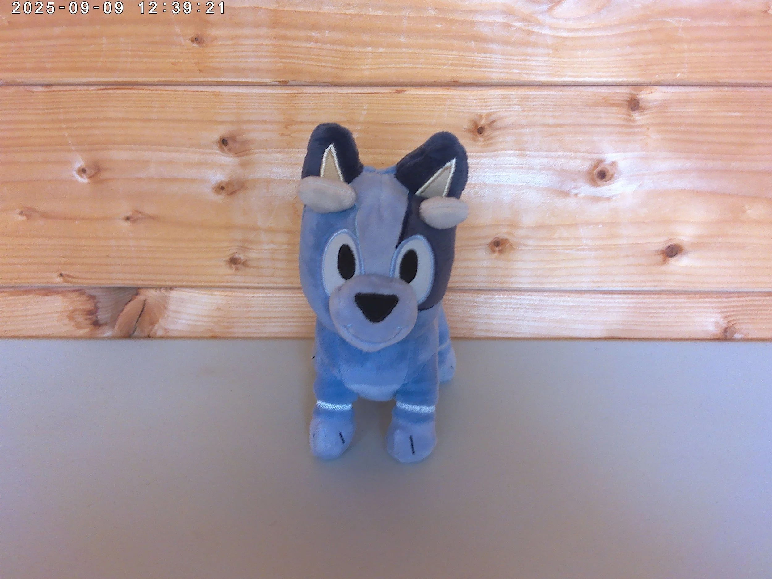 Socks - photo 4.jpg