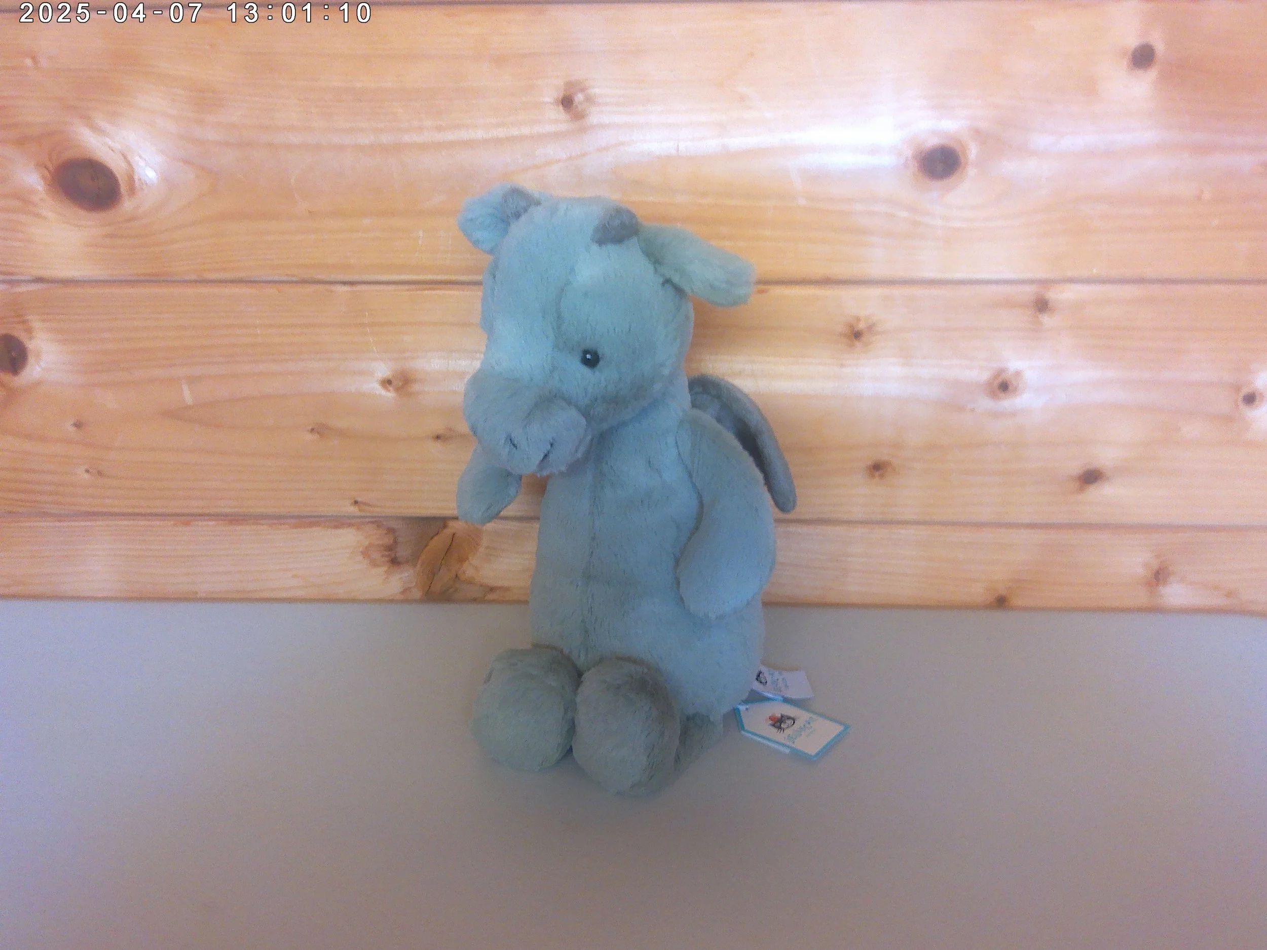 Dragon medium - photo 1.jpg