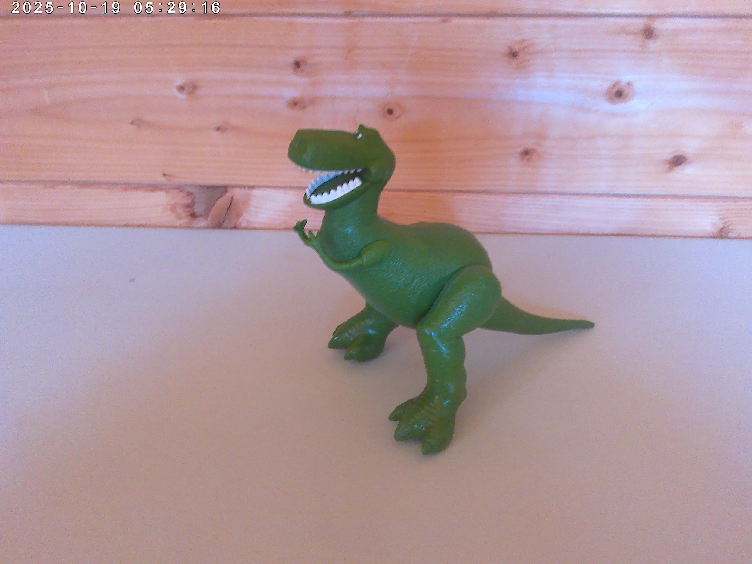 rex - photo 2.jpg
