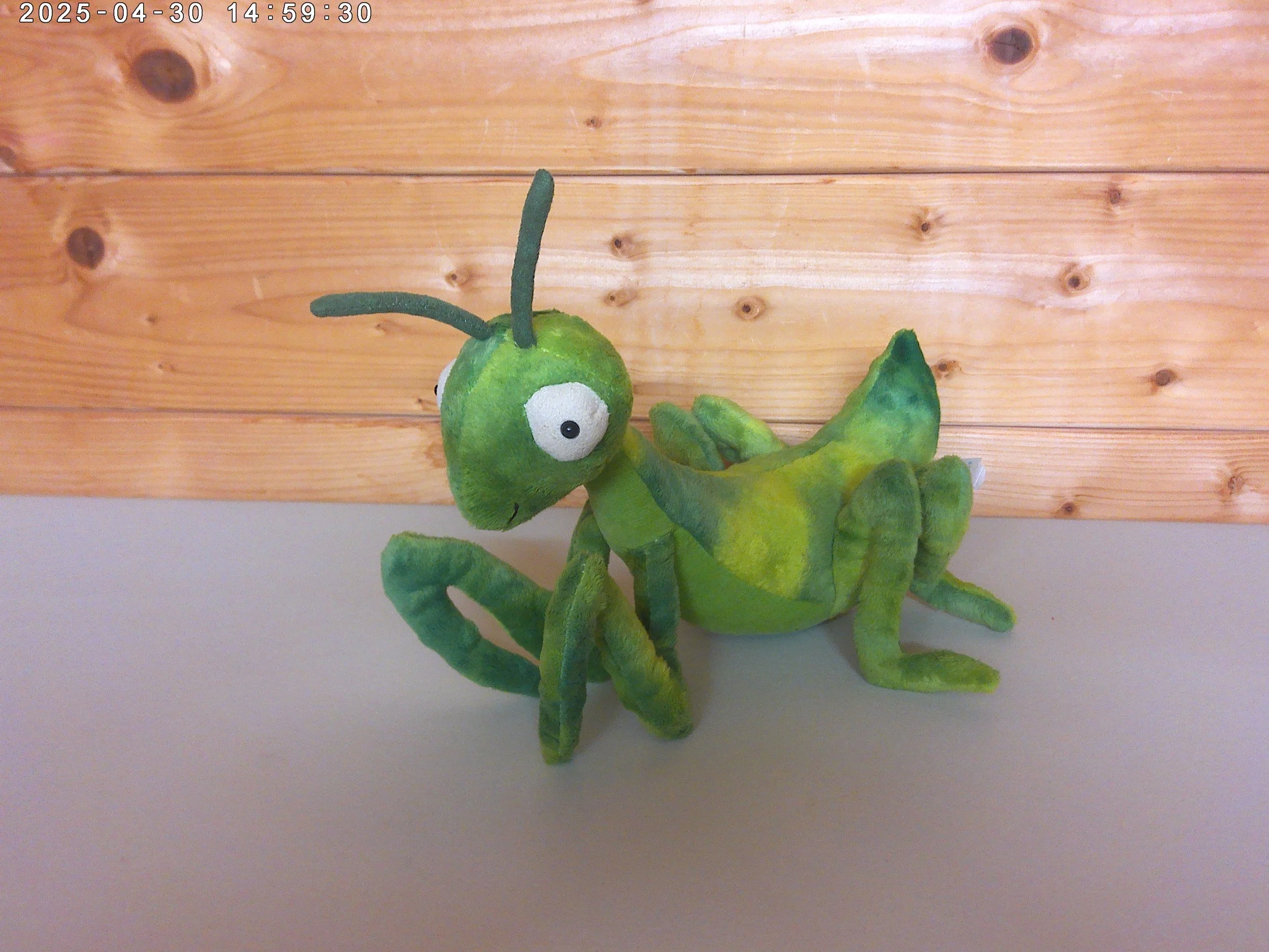 Jellycat Penny Mantis - Retired