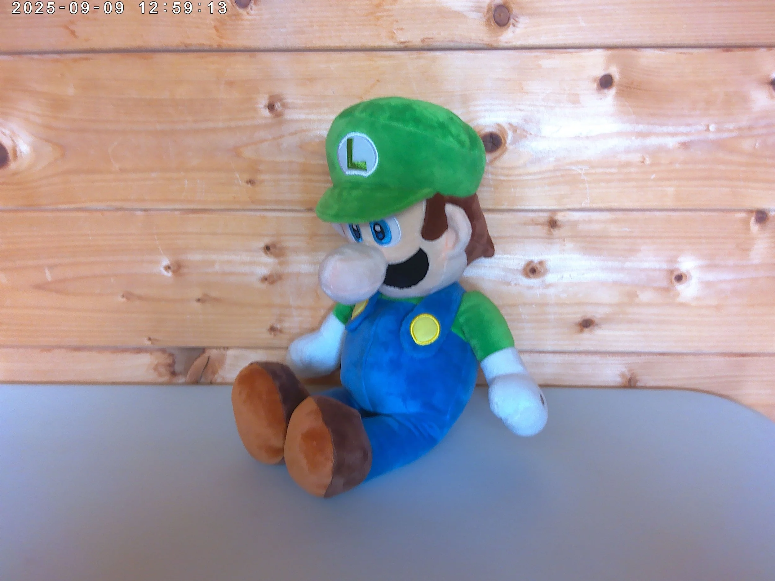 Large Luigi - photo 2.jpg