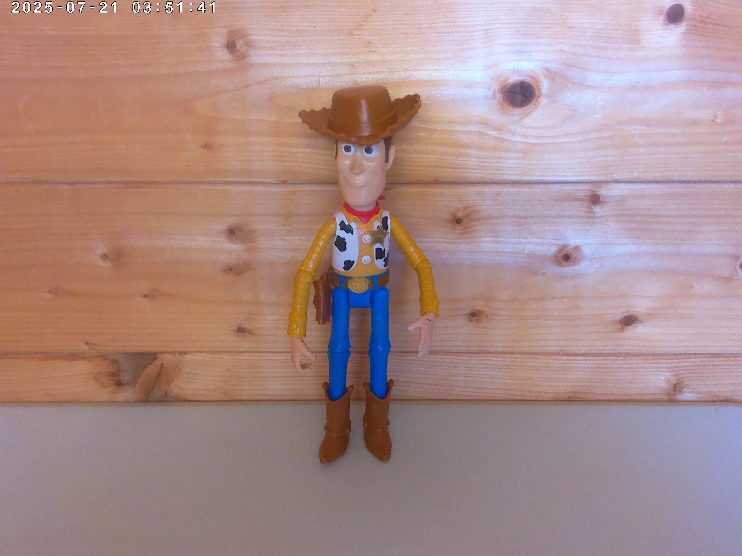 Toy Story Woody