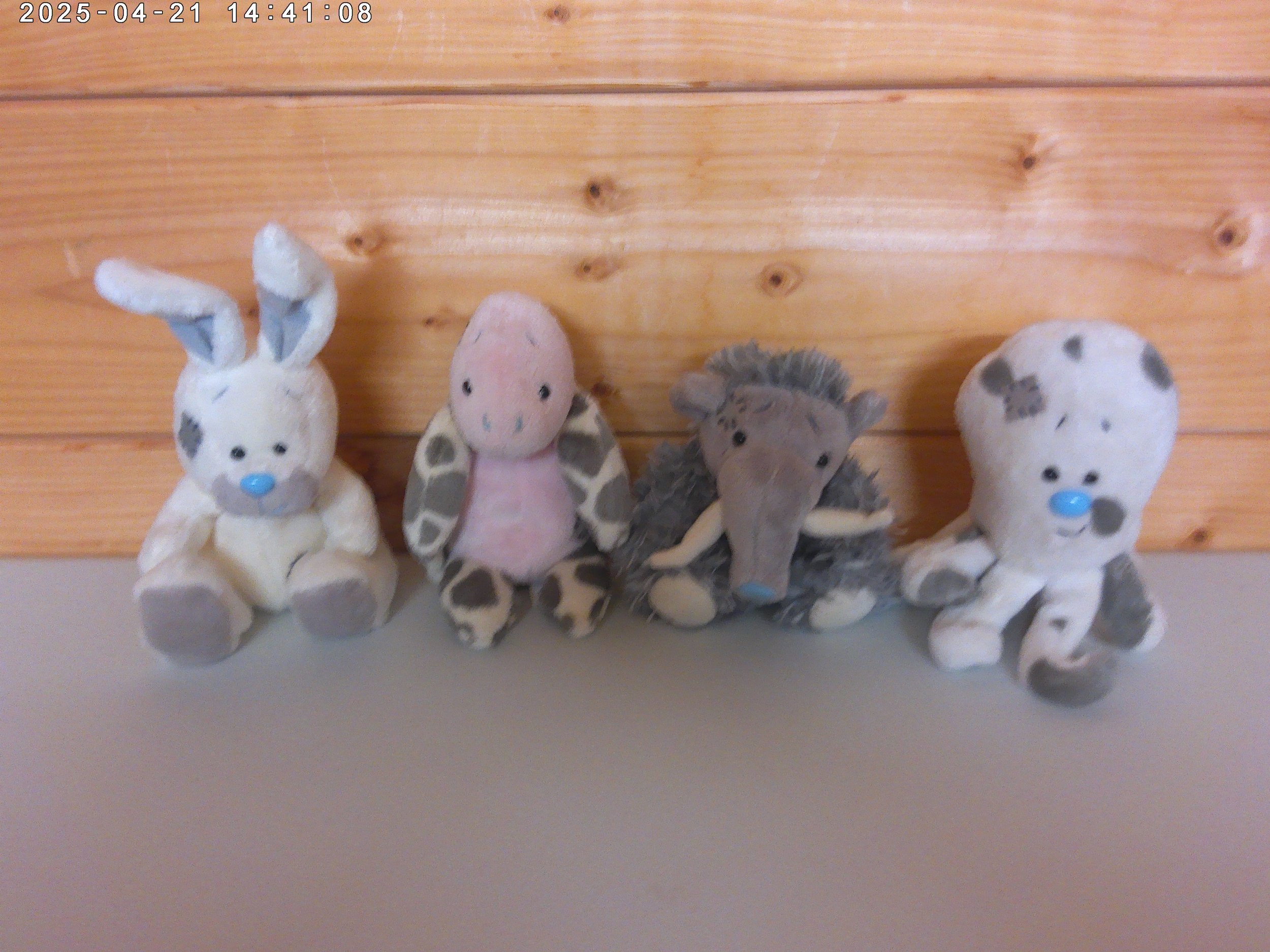 Blue Nose - photo 1.jpg