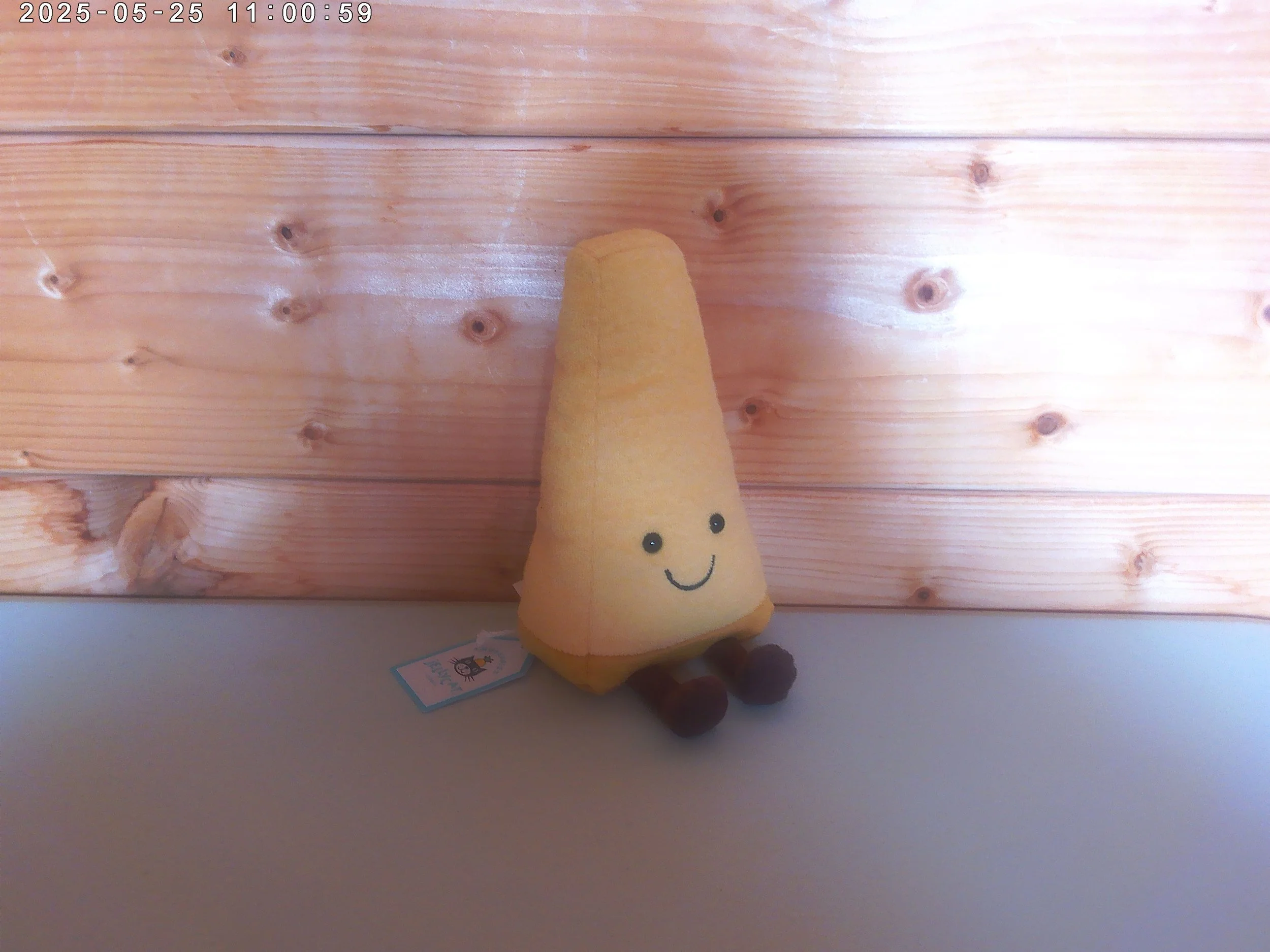 Parmesan - photo 3.jpg