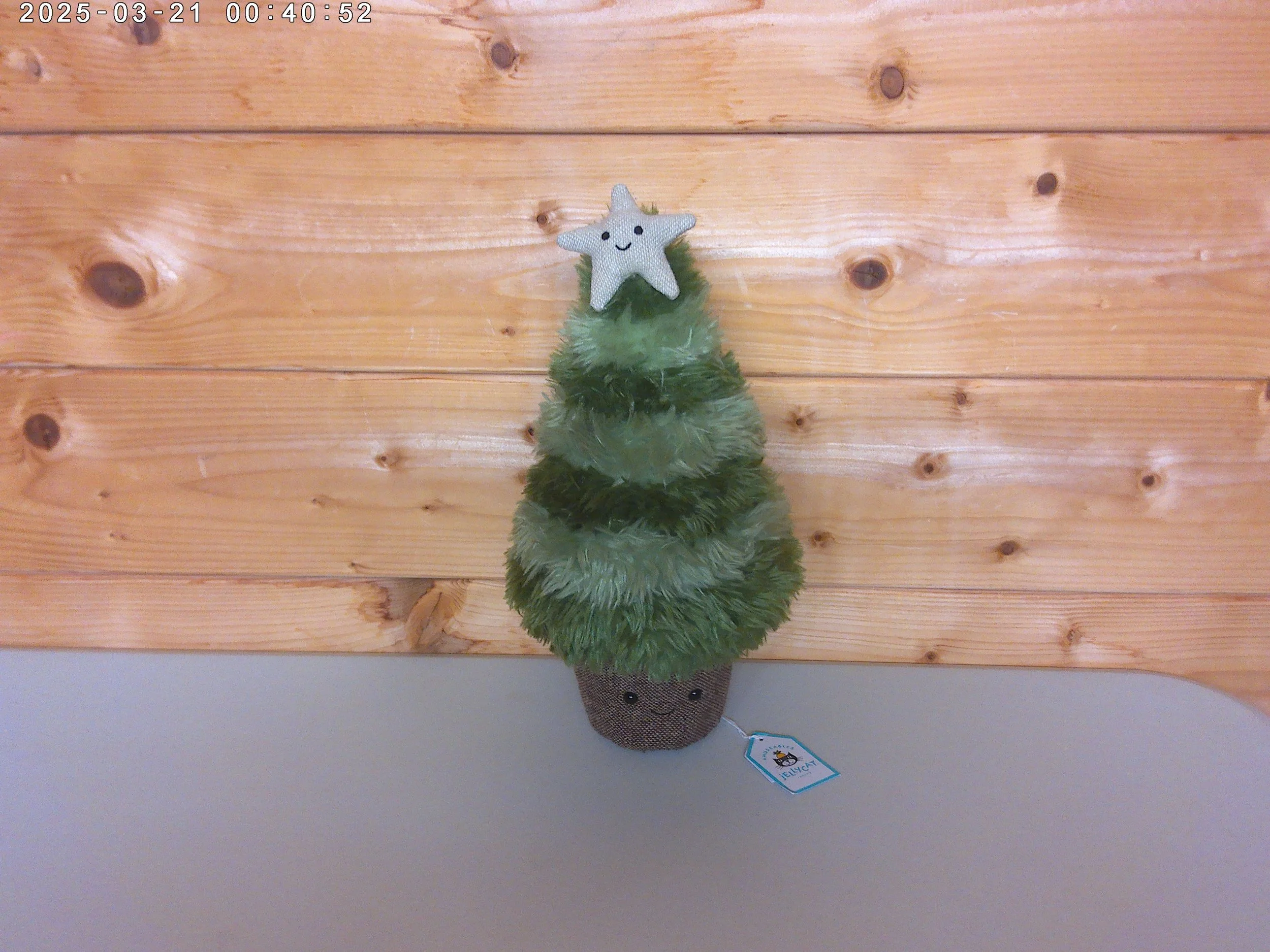 Christmas tree - photo 1.jpg