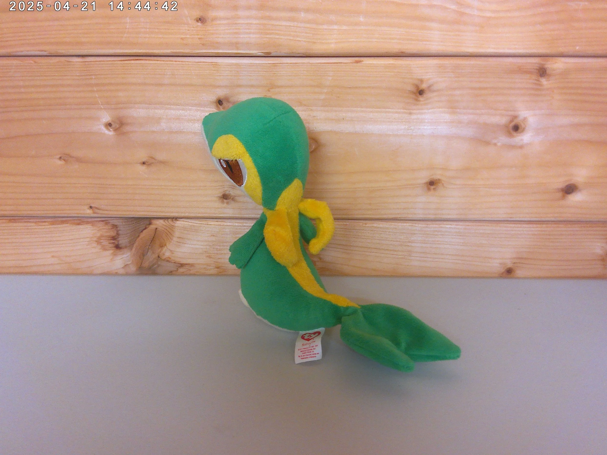 Snivy - photo 3.jpg