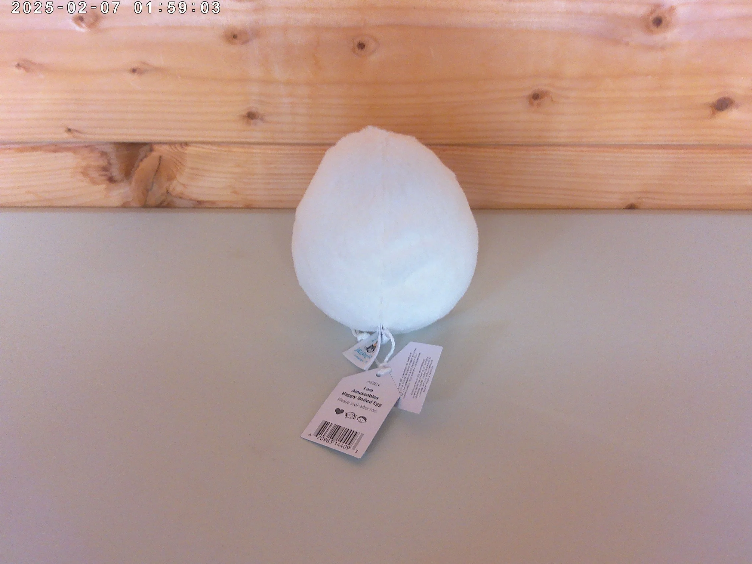 happy egg - photo 2.jpg