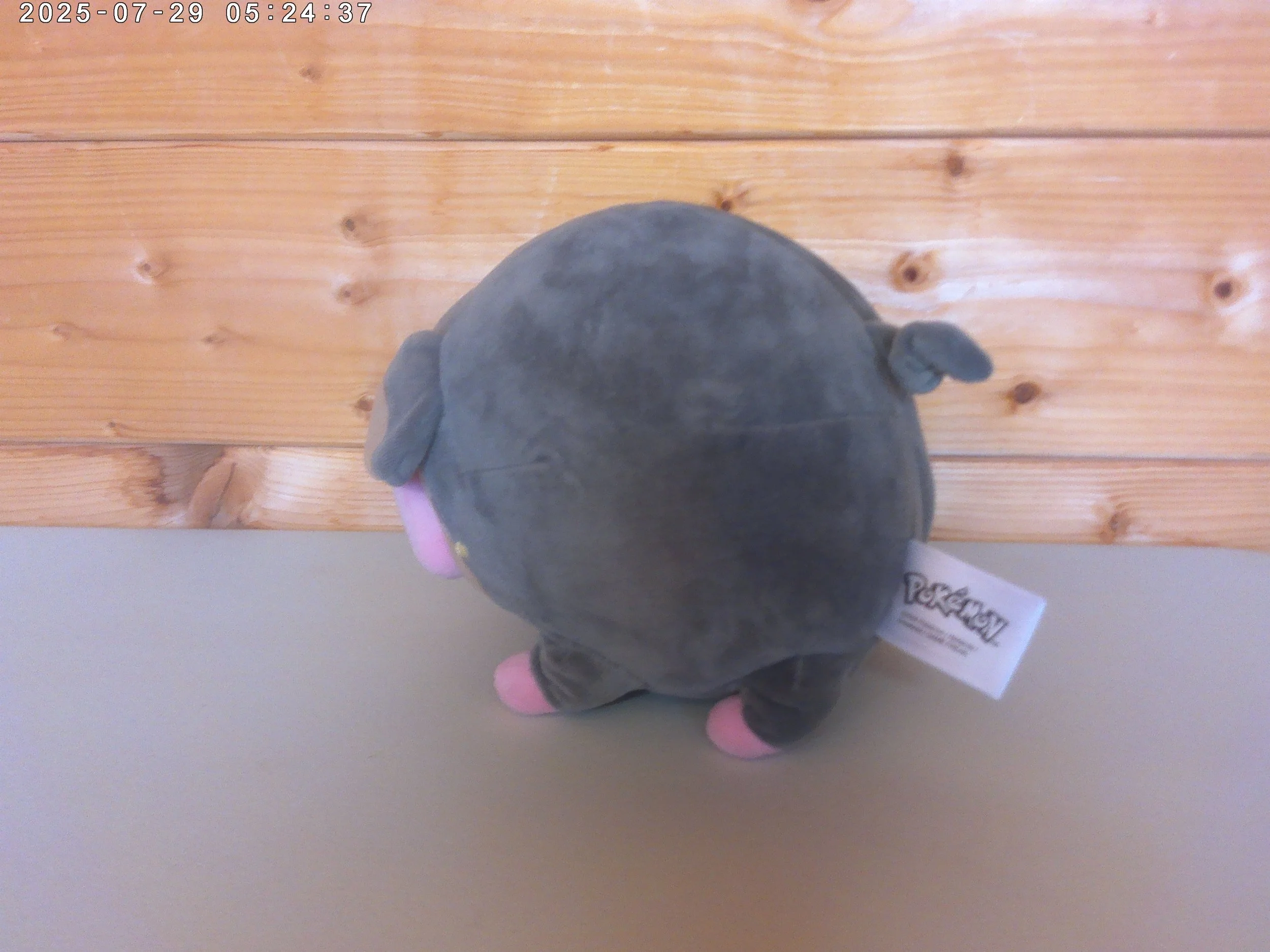 Lechonk - photo 2.jpg