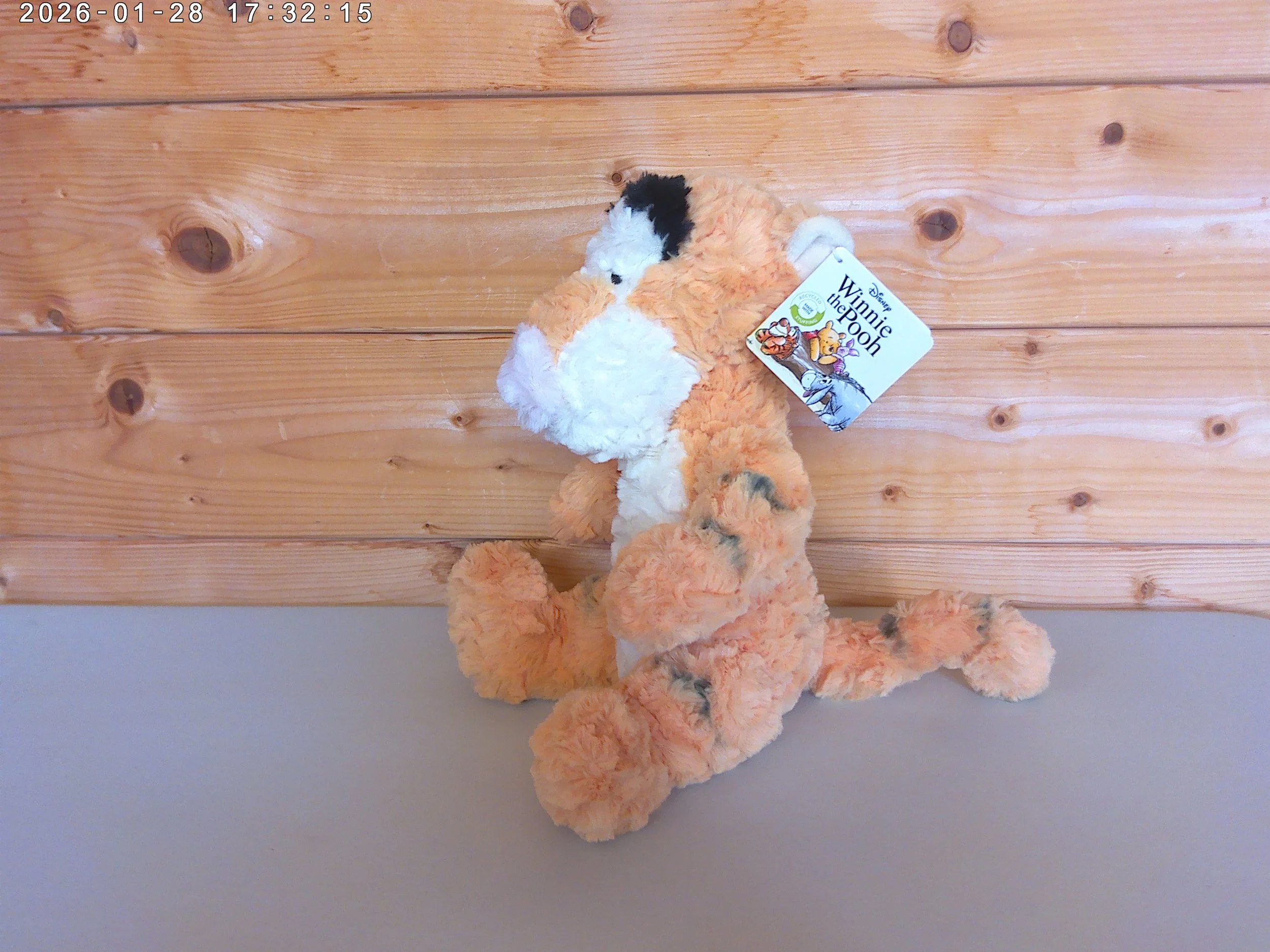 Tigger - photo 2.jpg