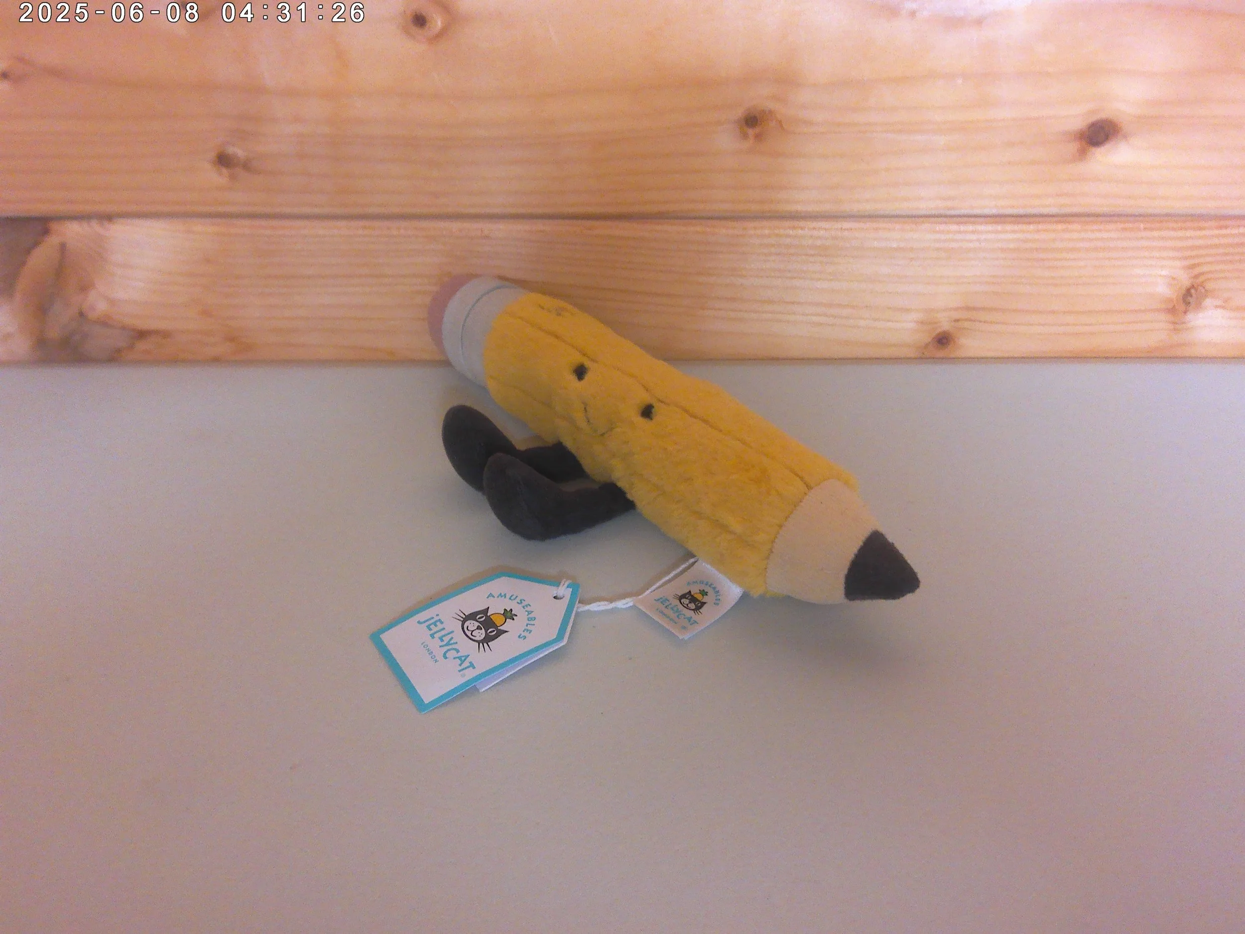 Pencil - photo 4.jpg