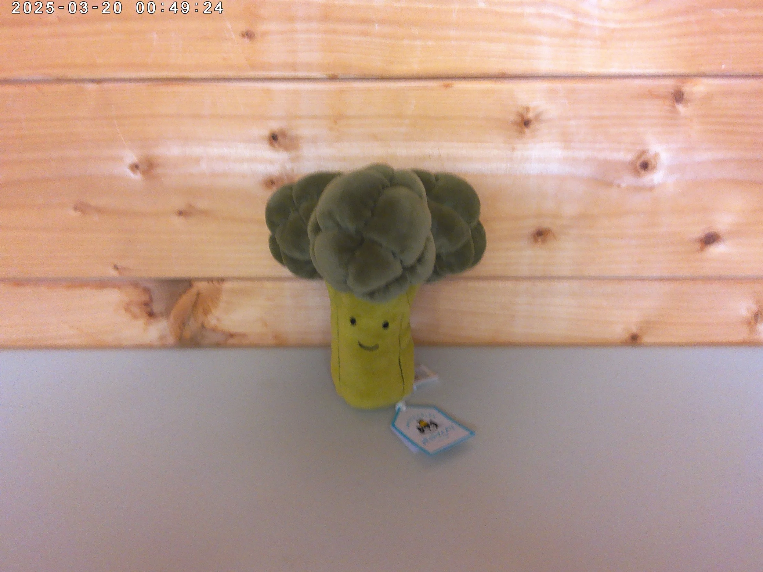 Jellycat Vivacious Broccoli - New