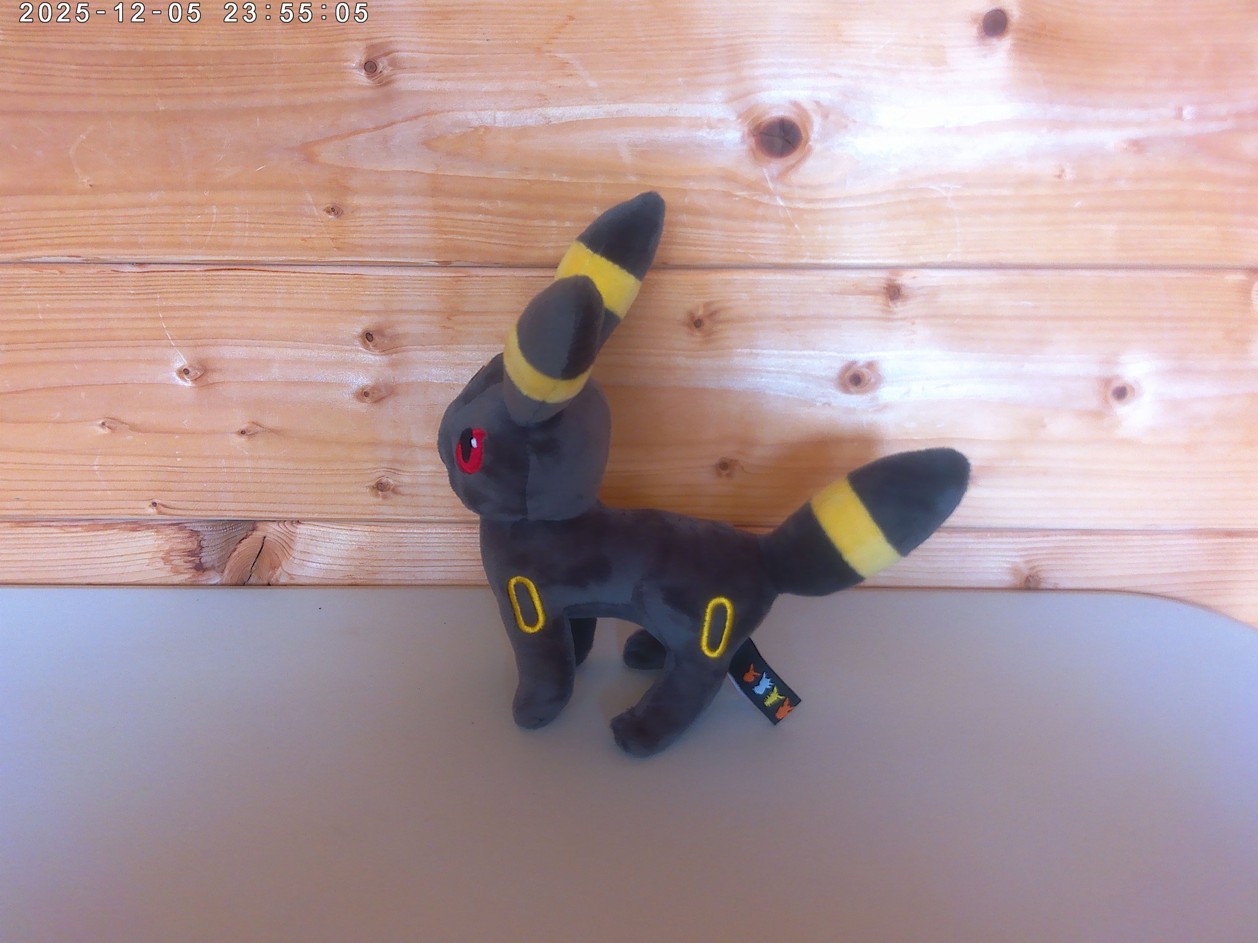 Umbreon - photo 2.jpg