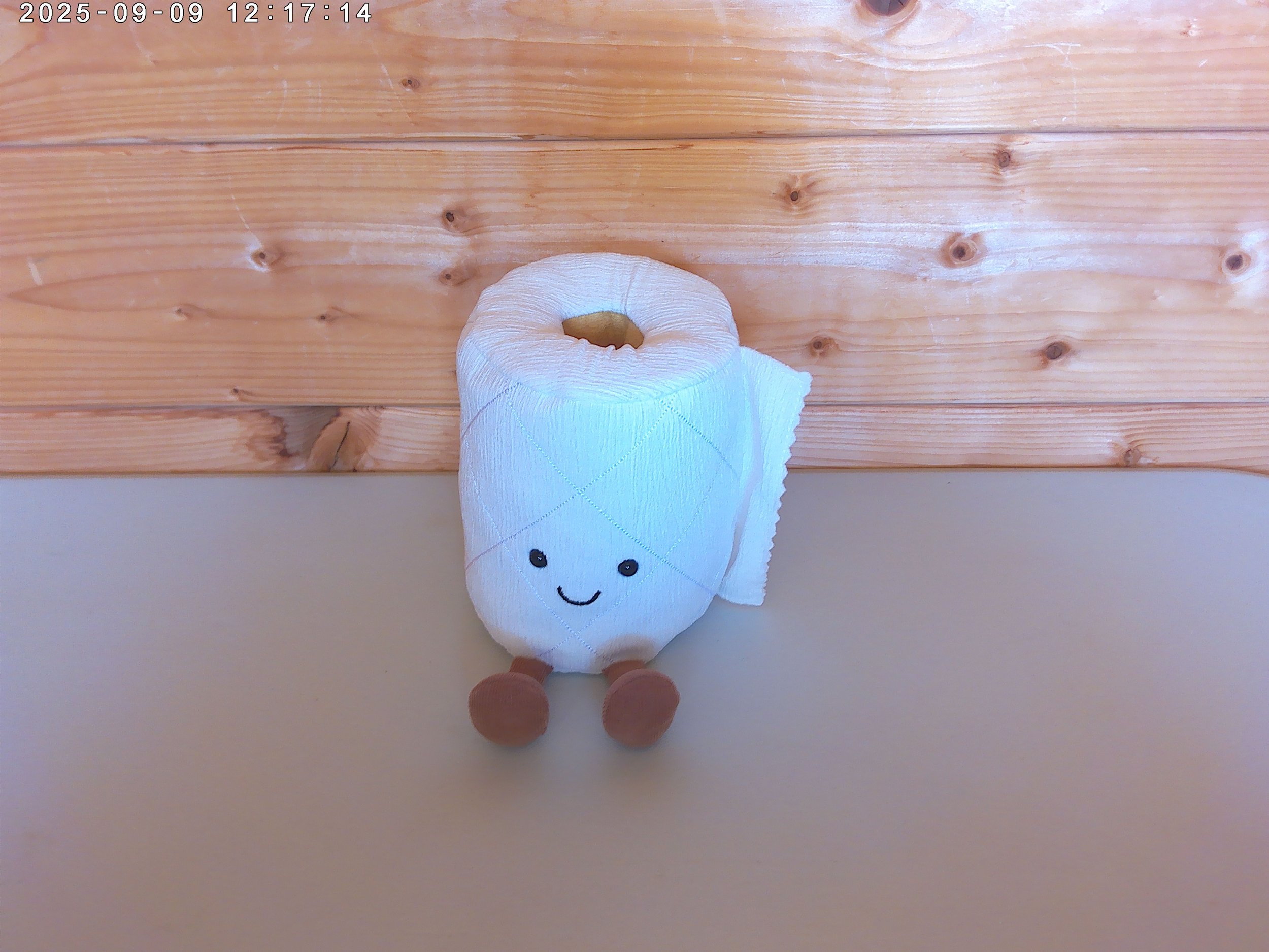 Toilet roll - photo 4.jpg