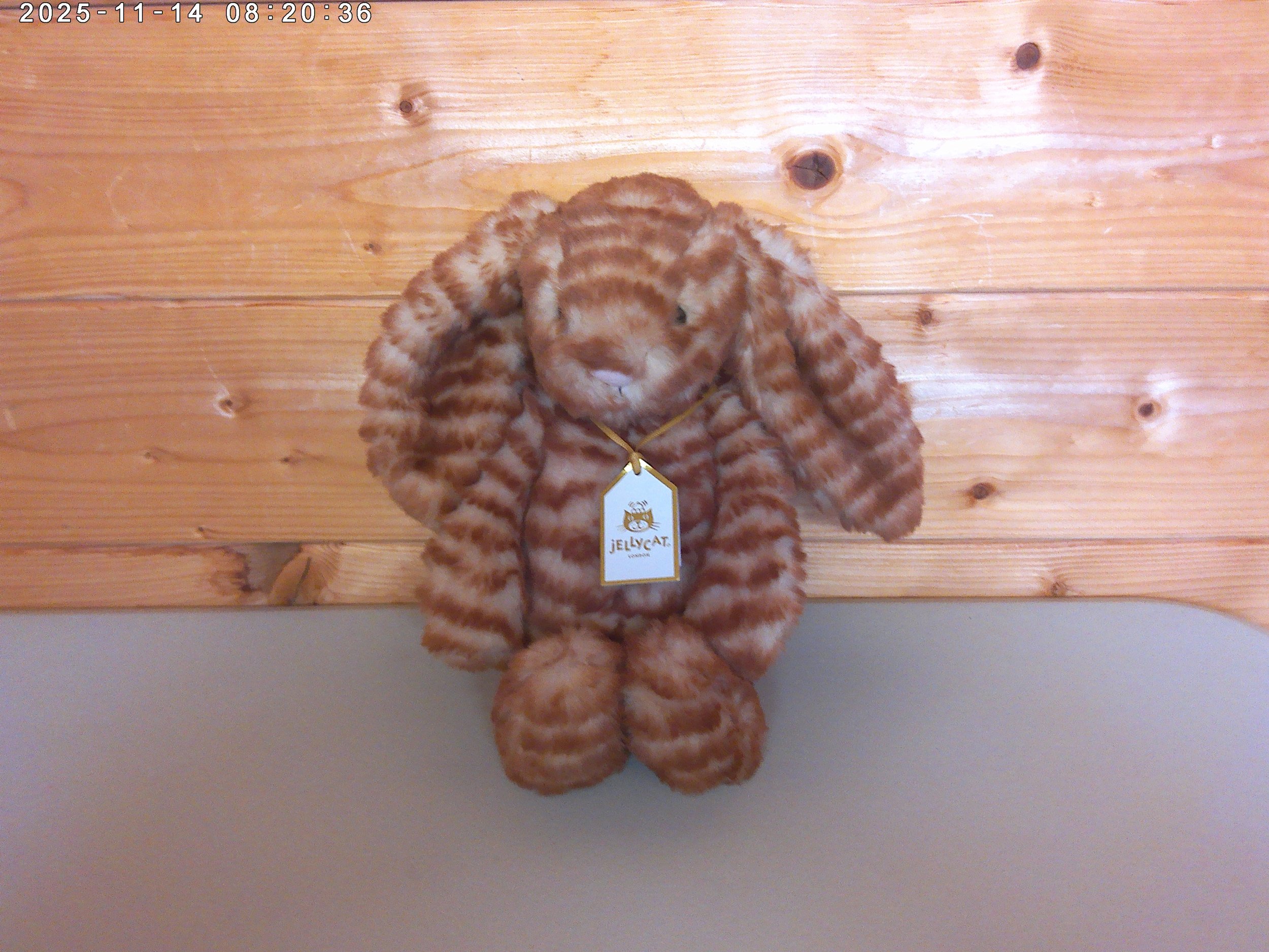 Juniper - photo 5.jpg