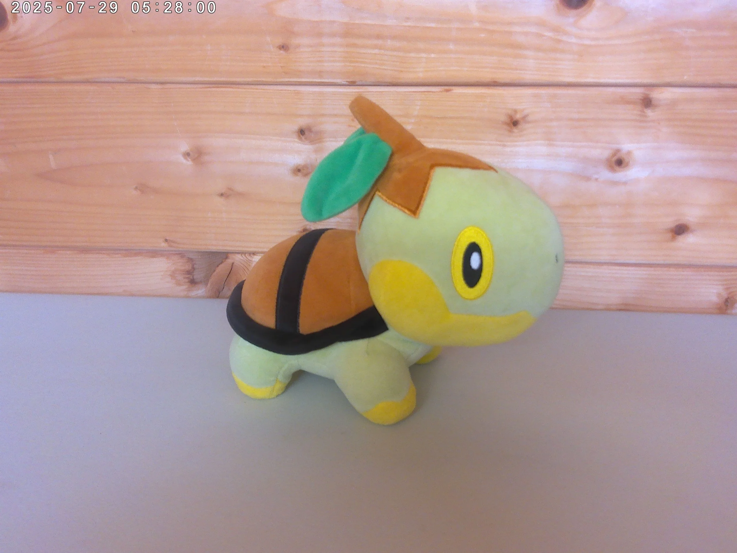Turtwig - photo 3.jpg