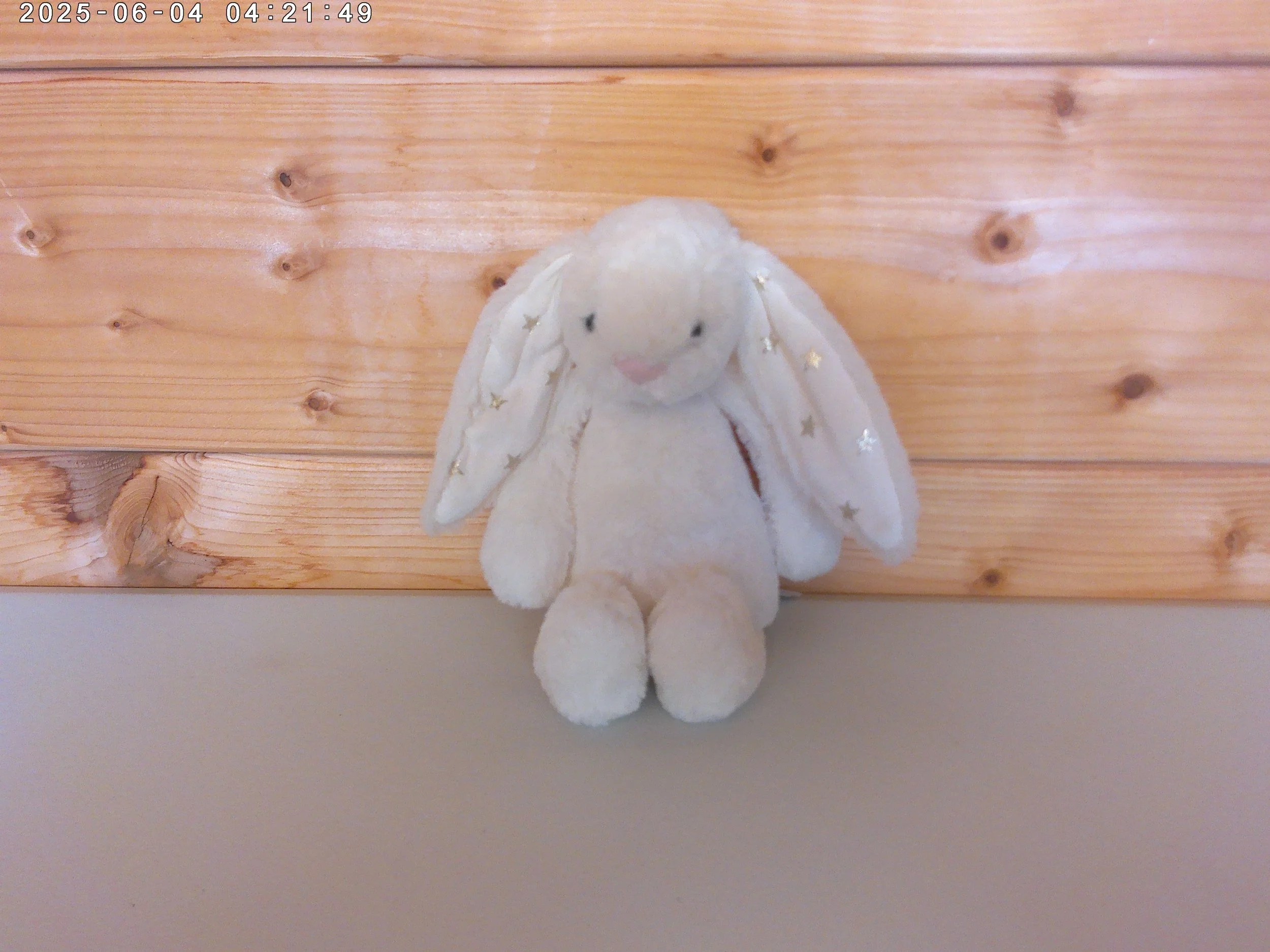 Twinkle bunny - photo 1.jpg