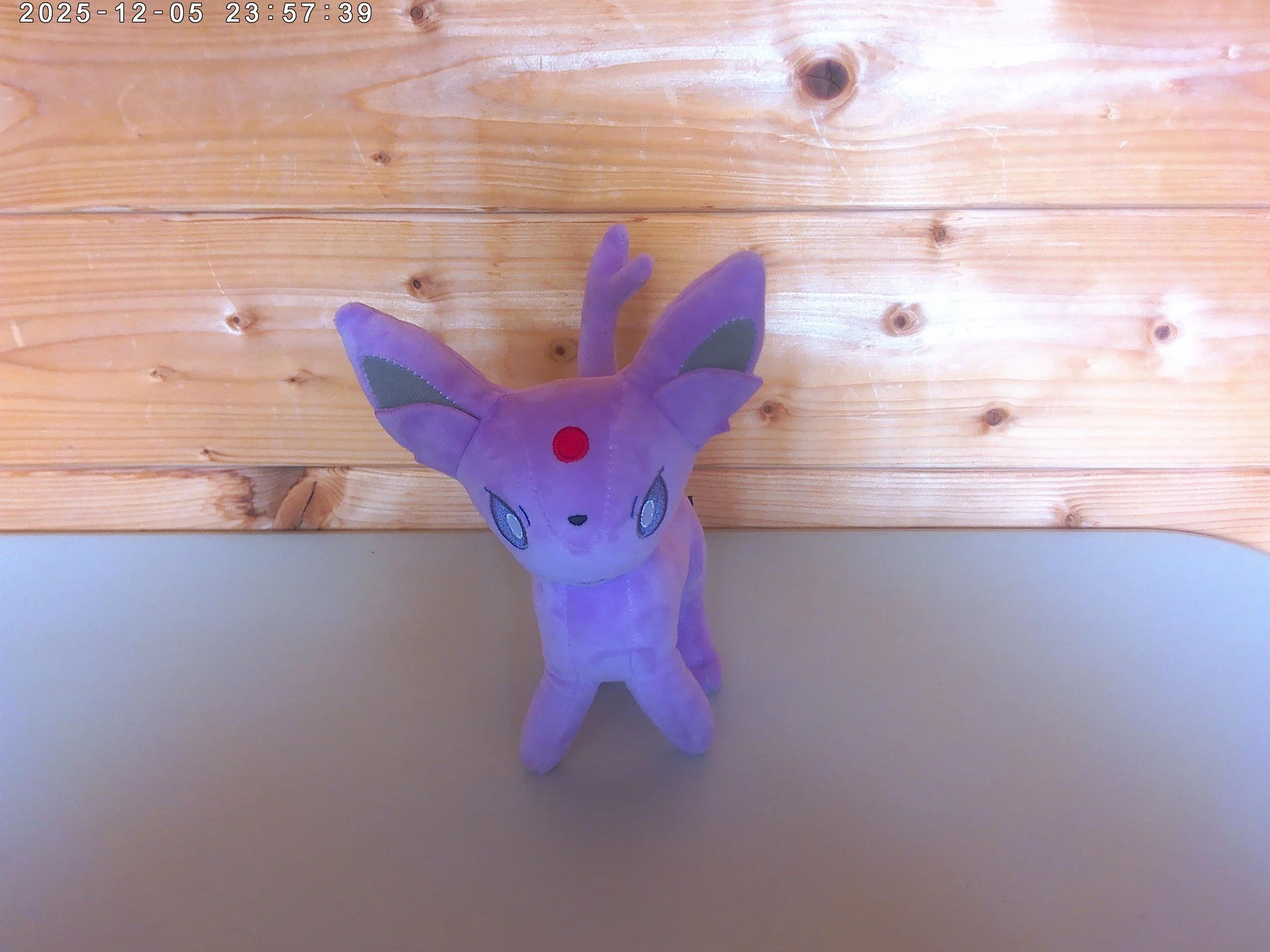 Espeon - photo 4.jpg