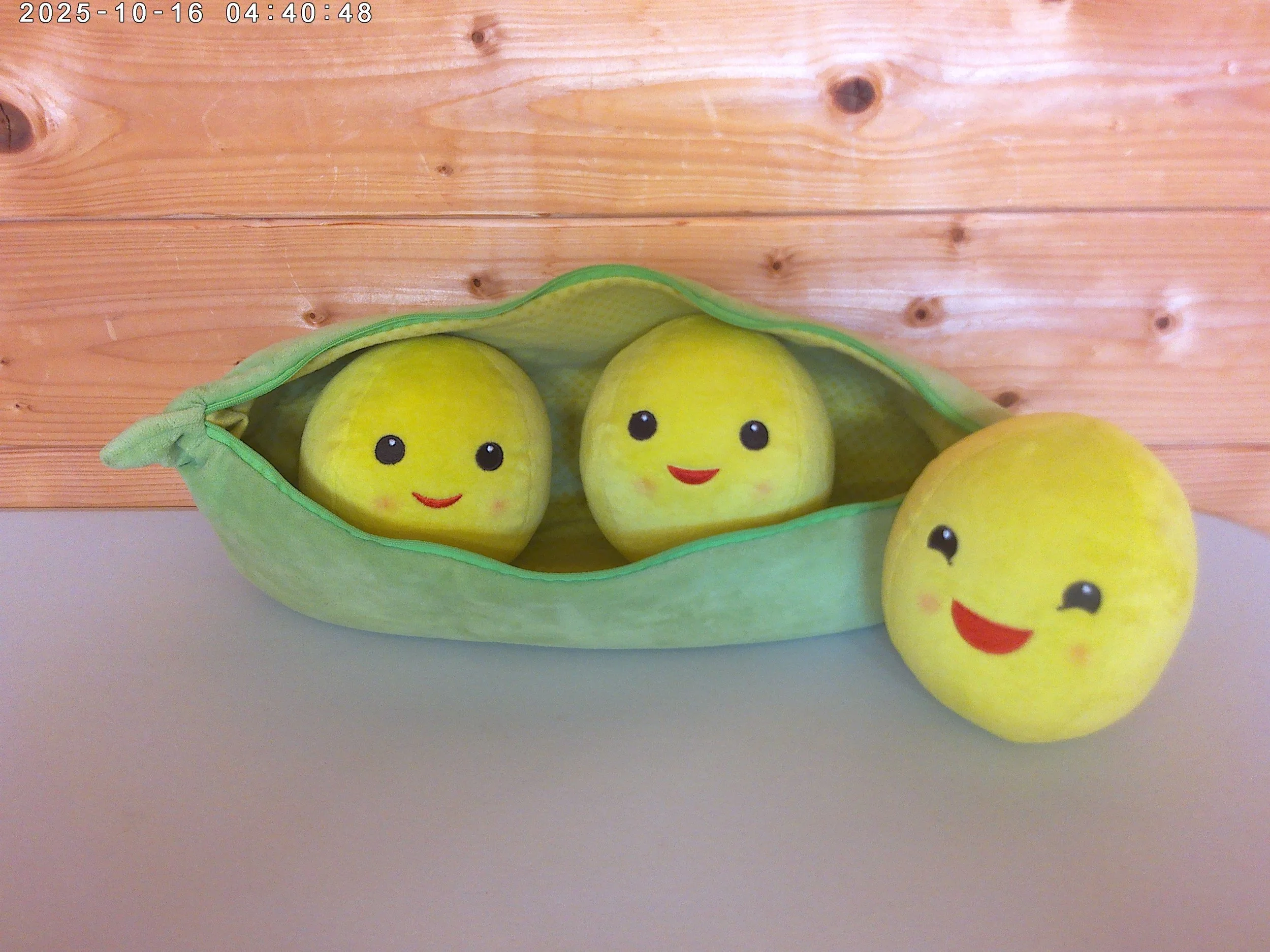 Medium peas in a pod - photo 5.jpg