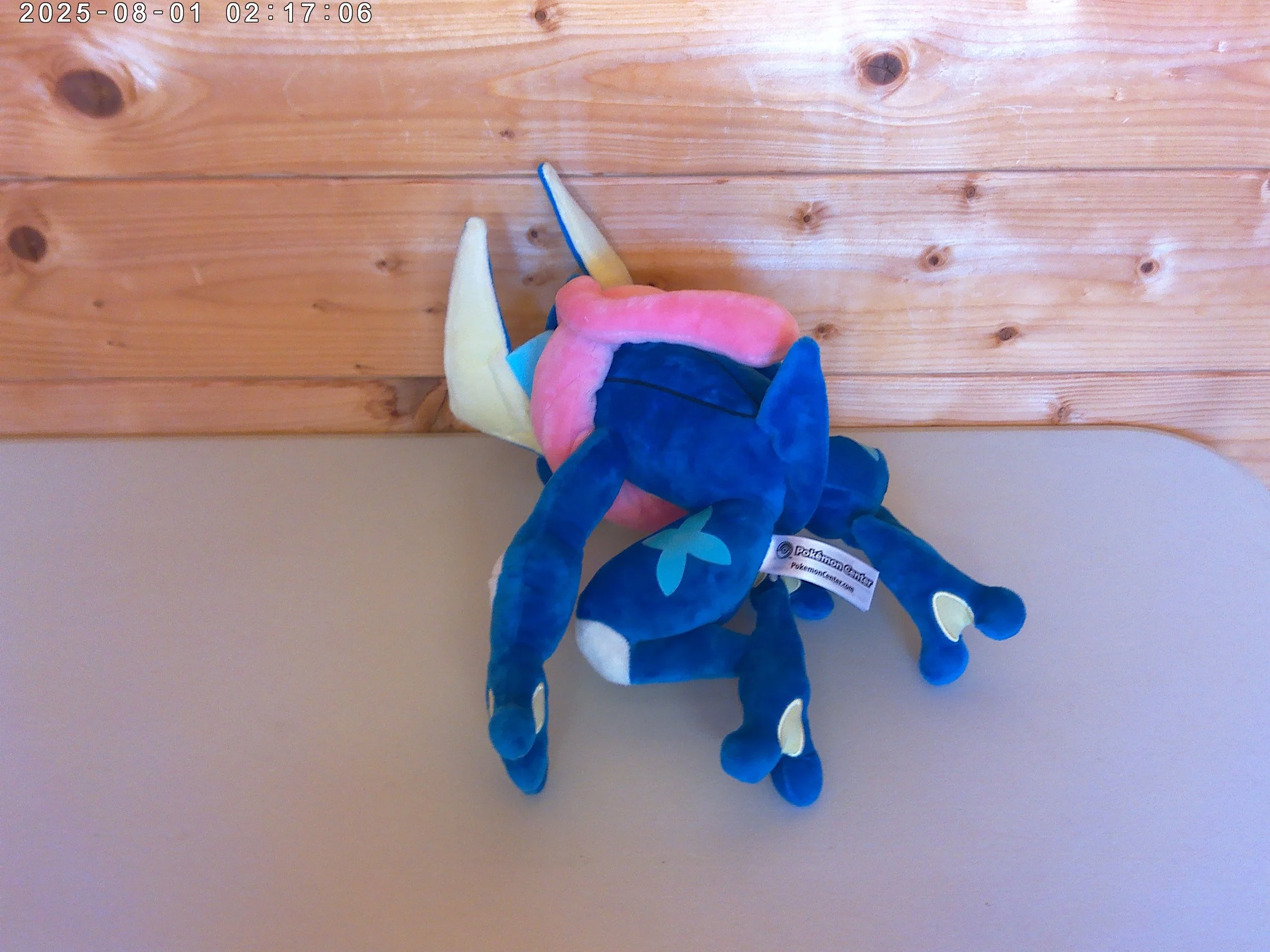 Greninja - photo 2.jpg