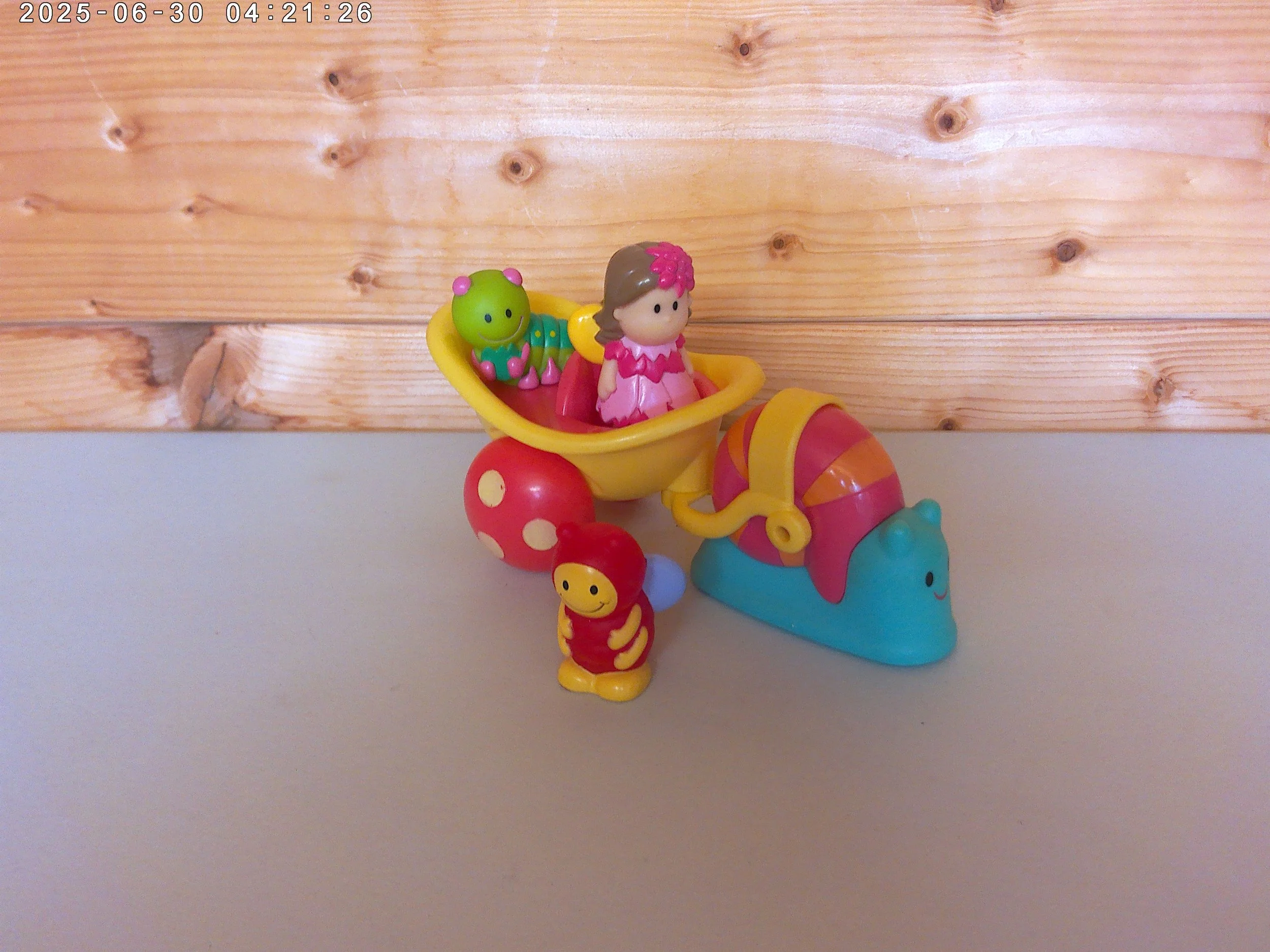 Fairy snail - photo 1.jpg