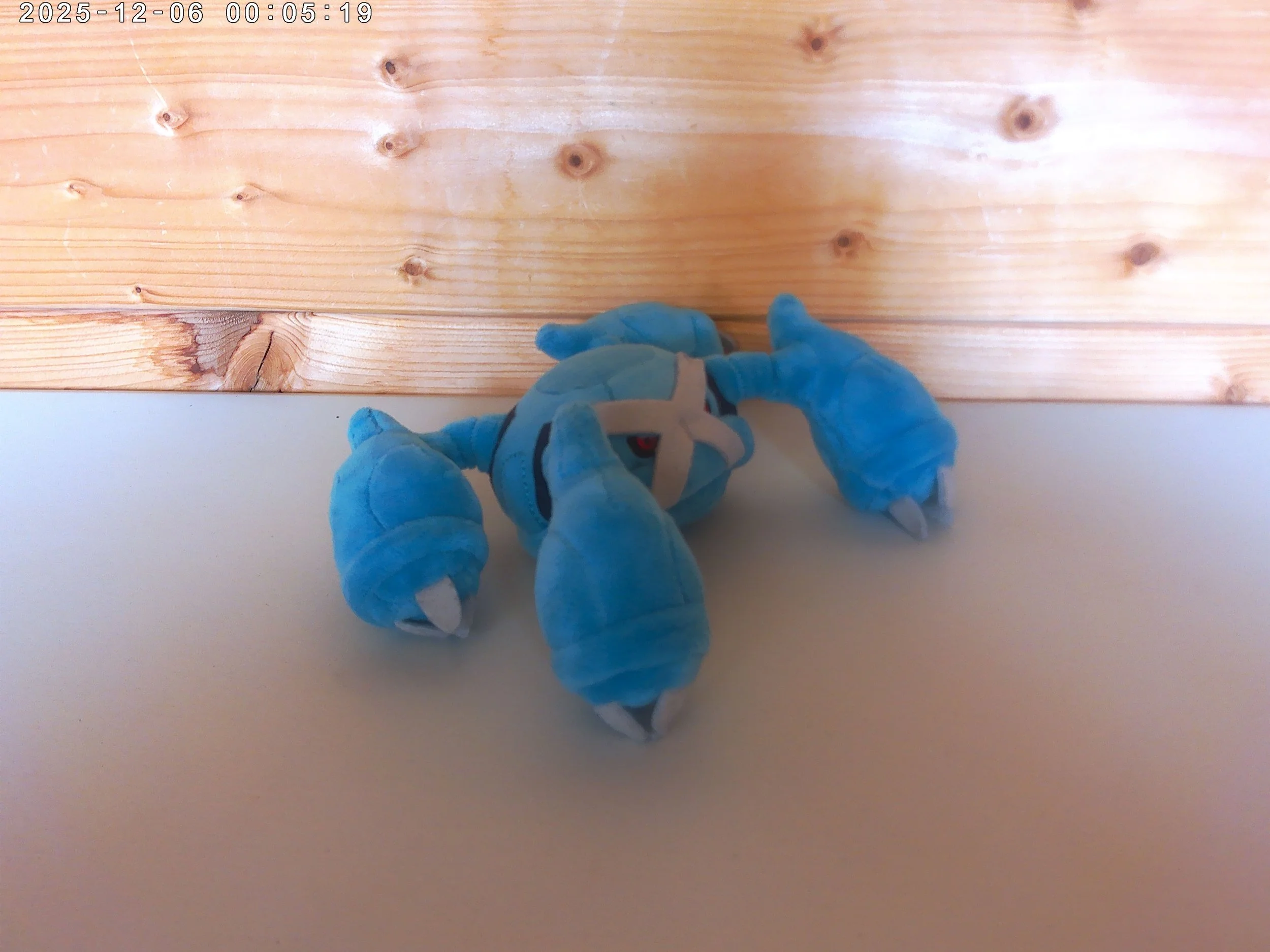 Metagross - photo 3.jpg