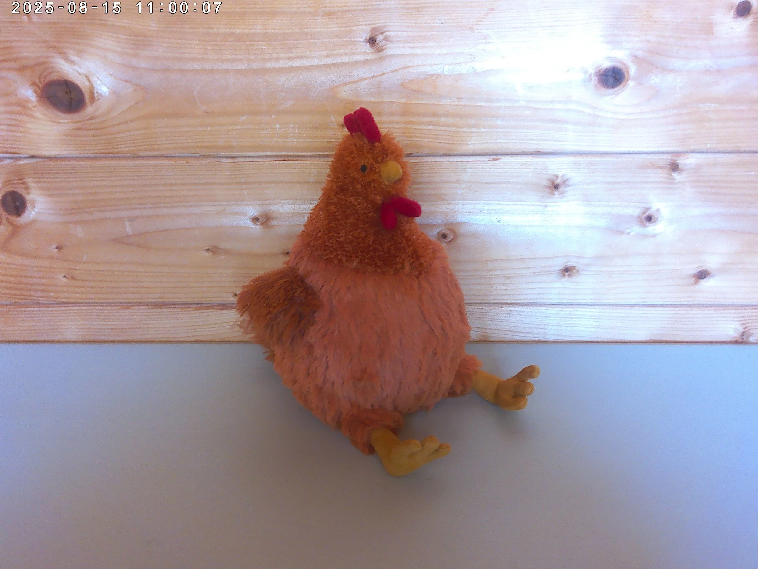Jellycat Cecile Chicken - New