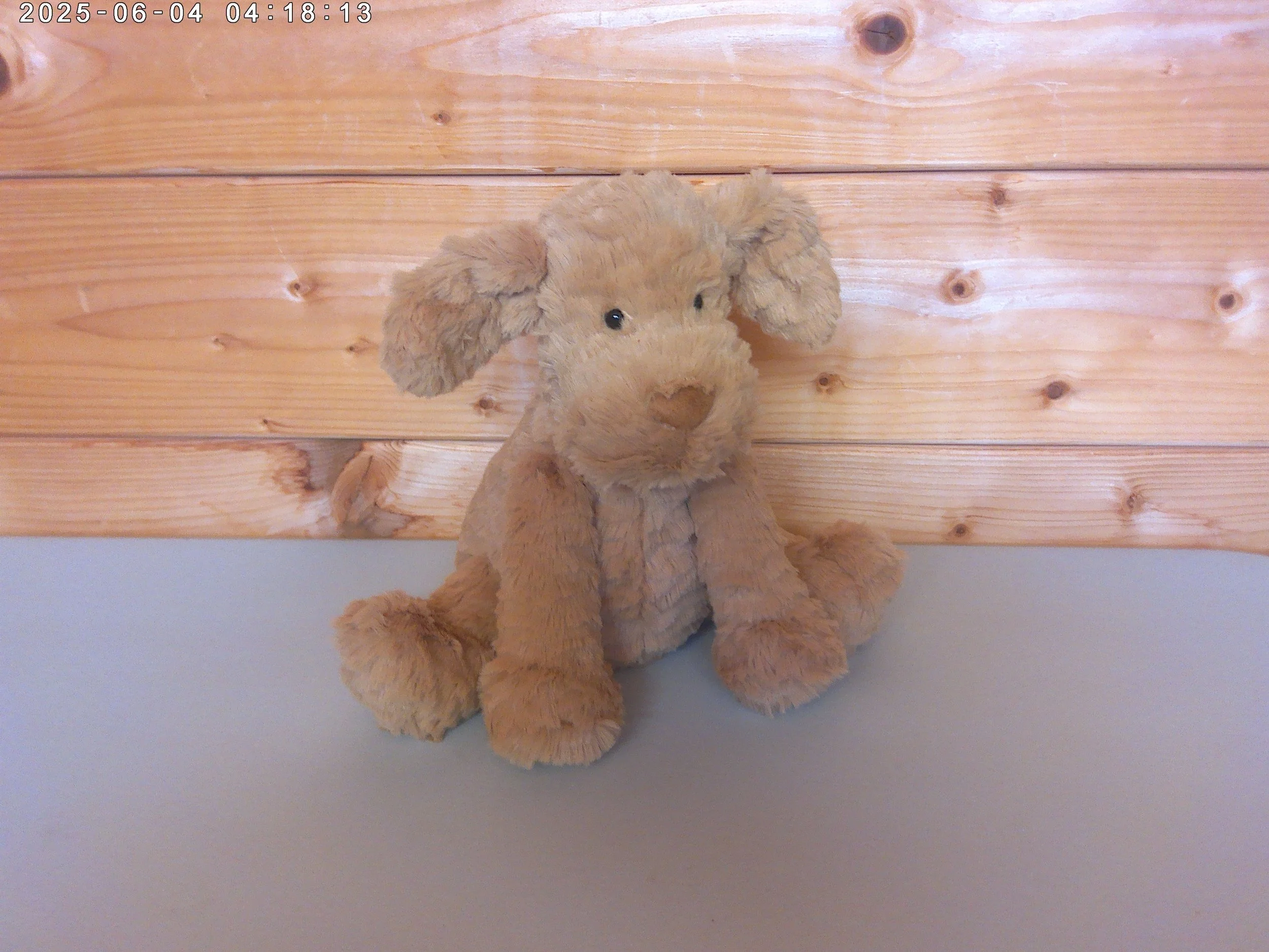 Fuddlewuddle puppy - photo 3.jpg